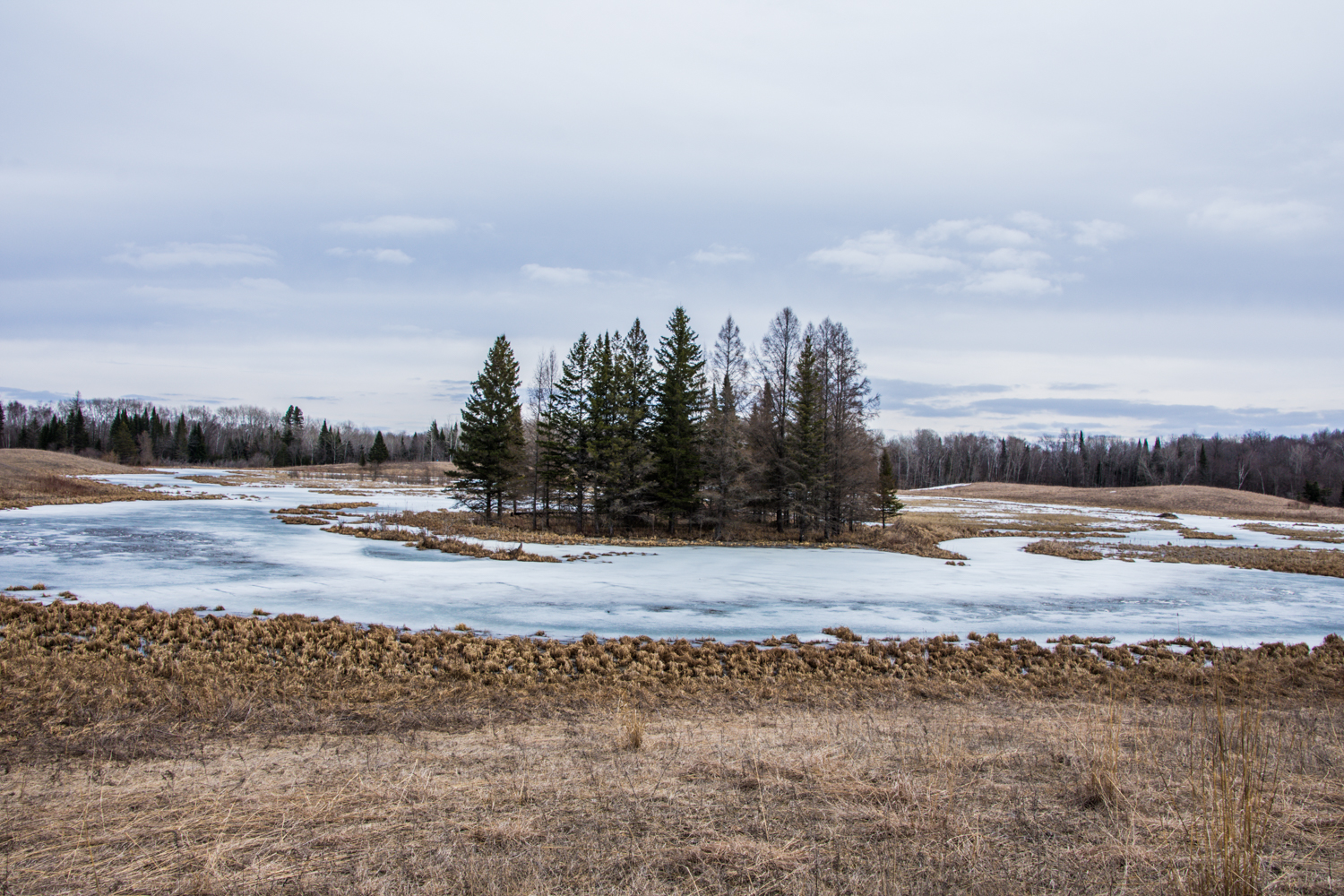 DSC_1420.jpg