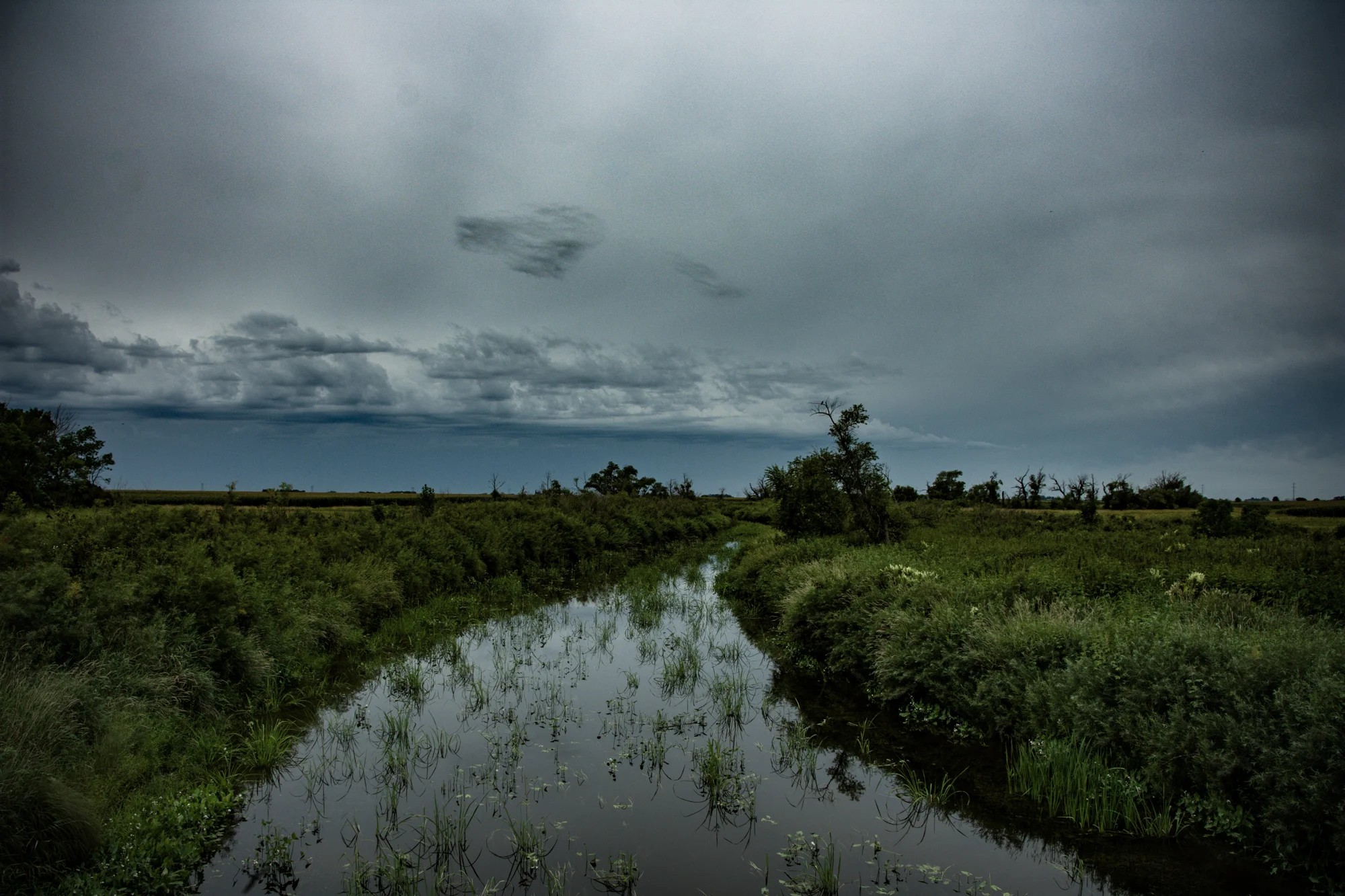 DSC_5953.jpg