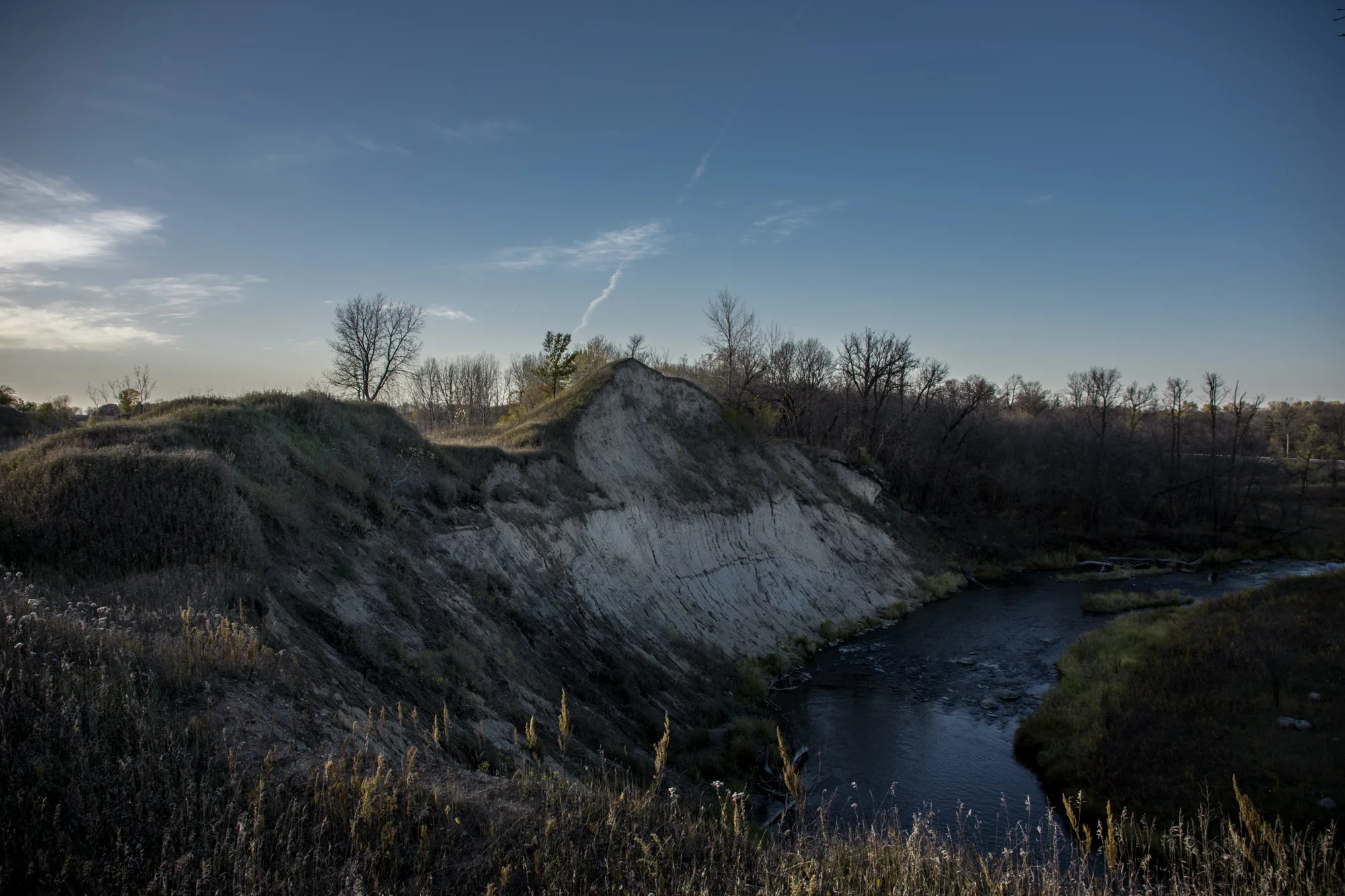 DSC_8222.jpg