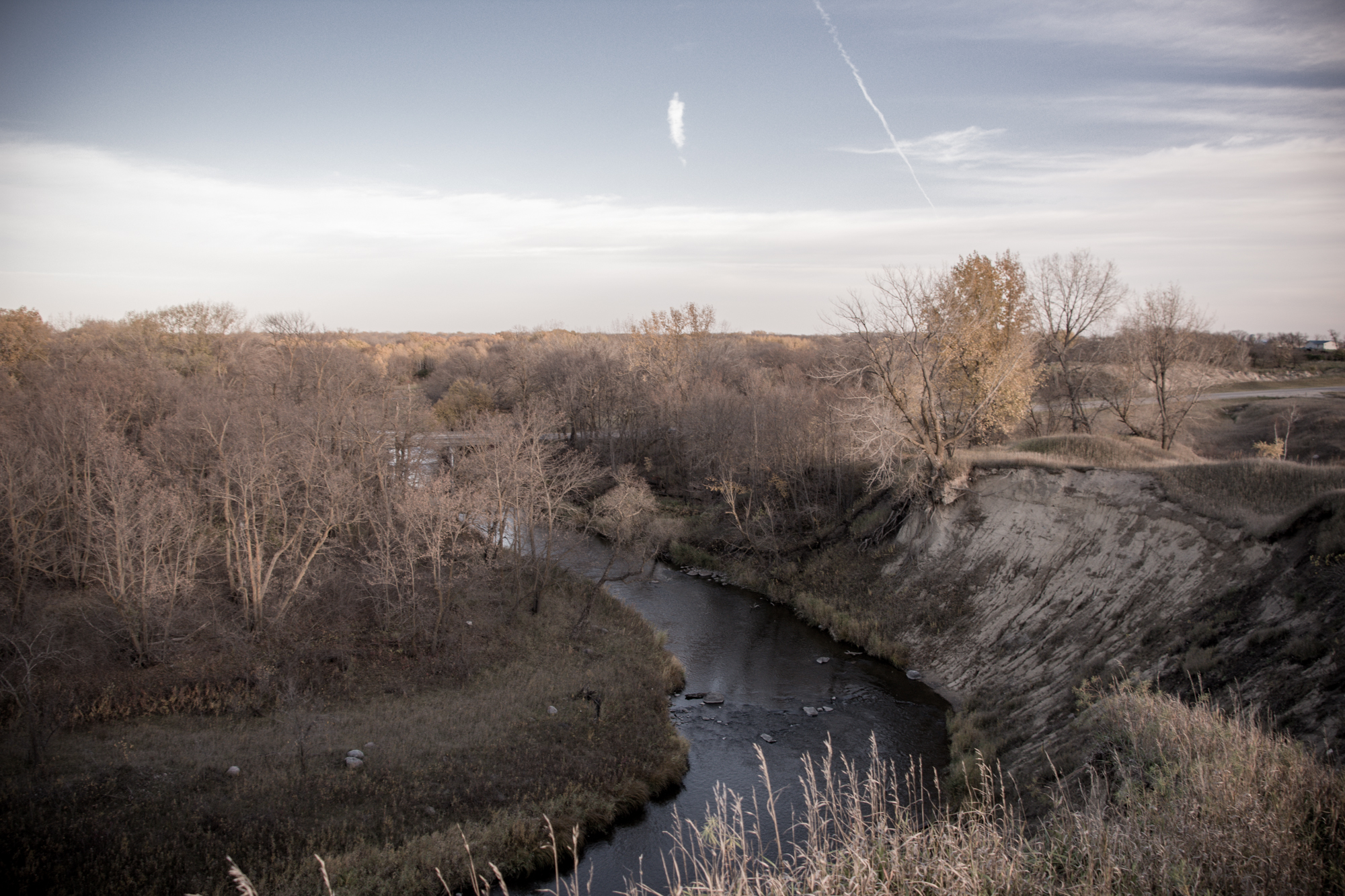 DSC_8265.jpg