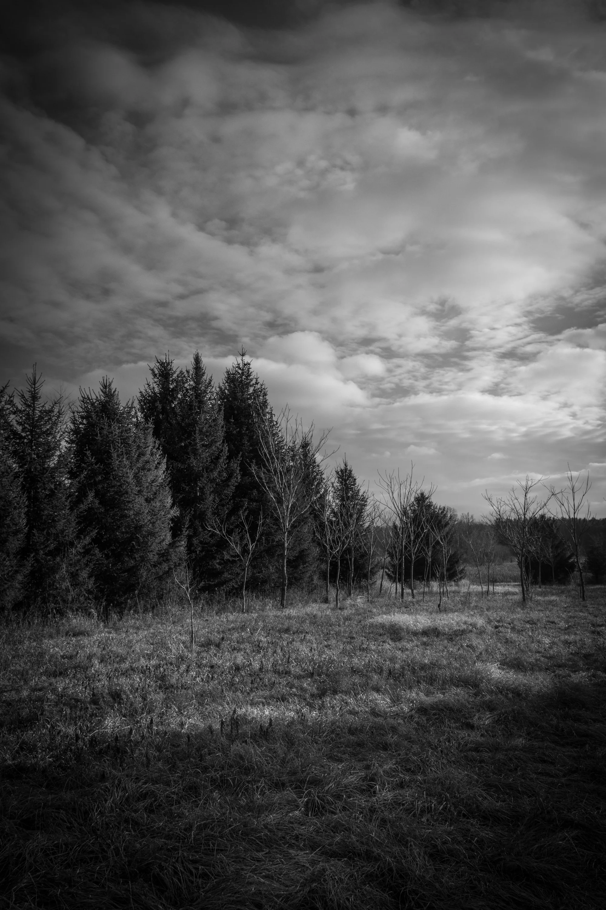 DSC_0159.jpg
