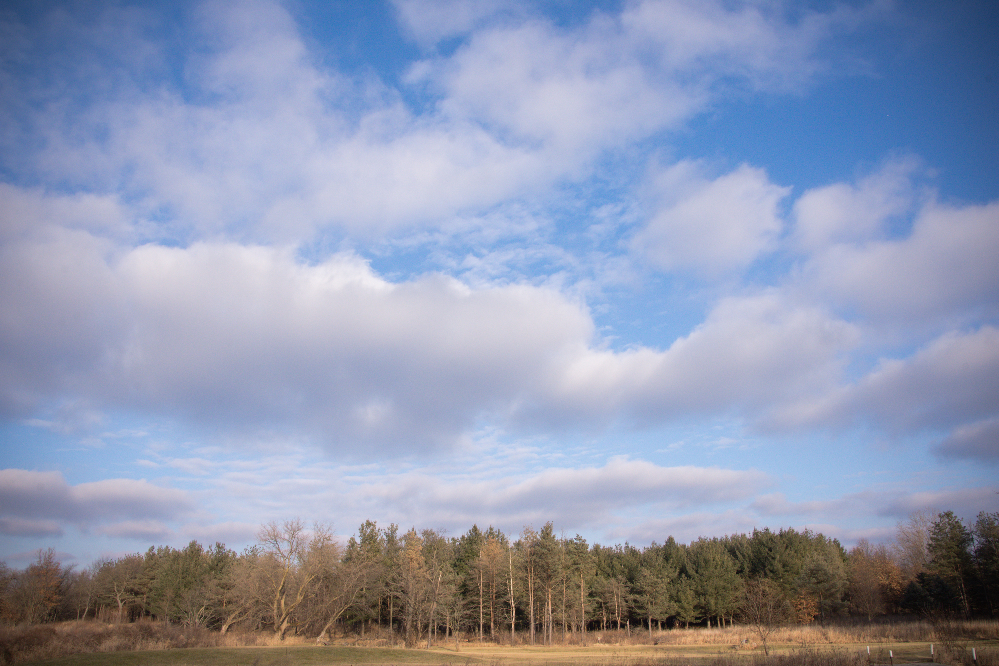 DSC_0199.jpg
