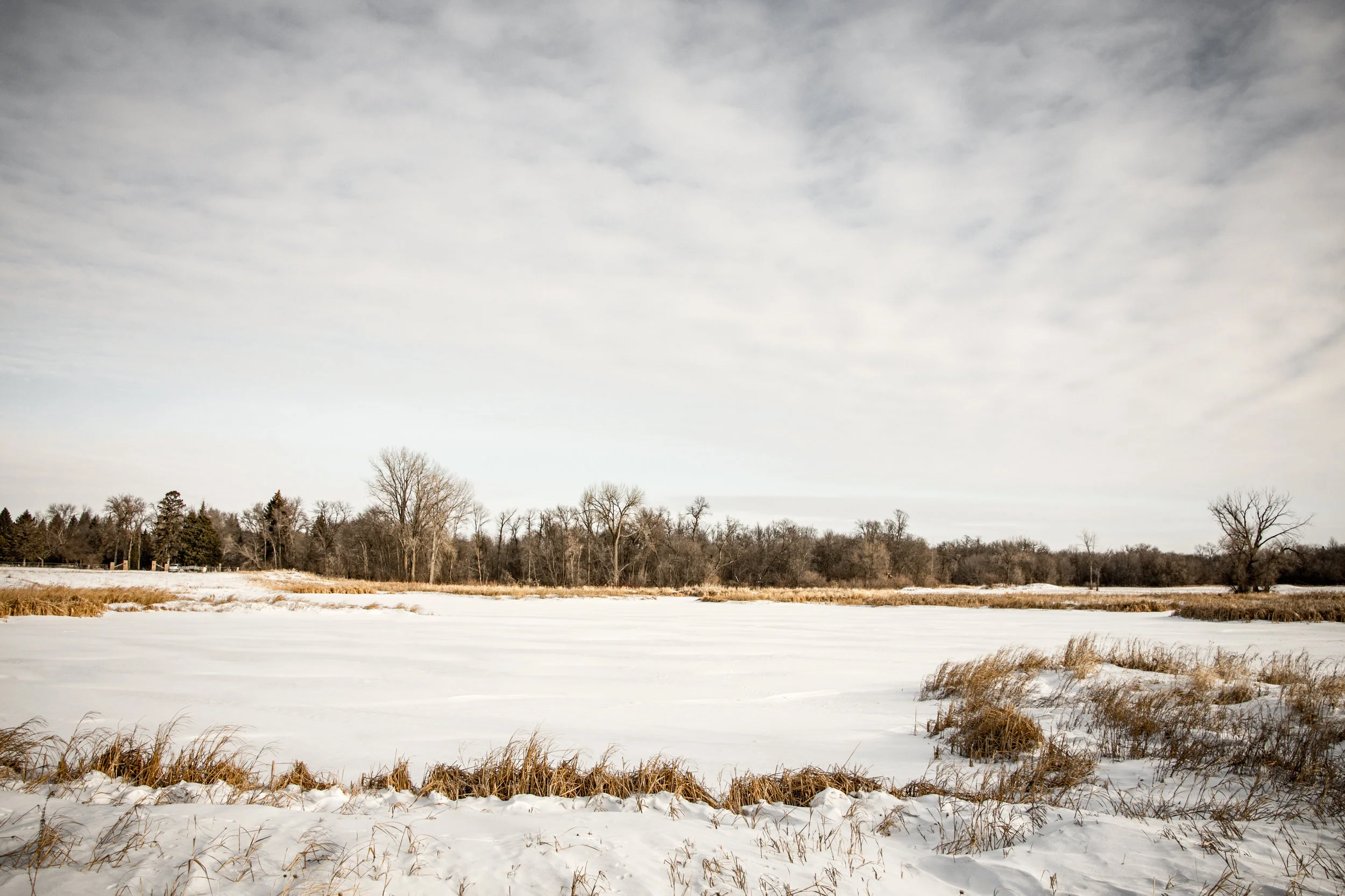 DSC_2133-3.jpg