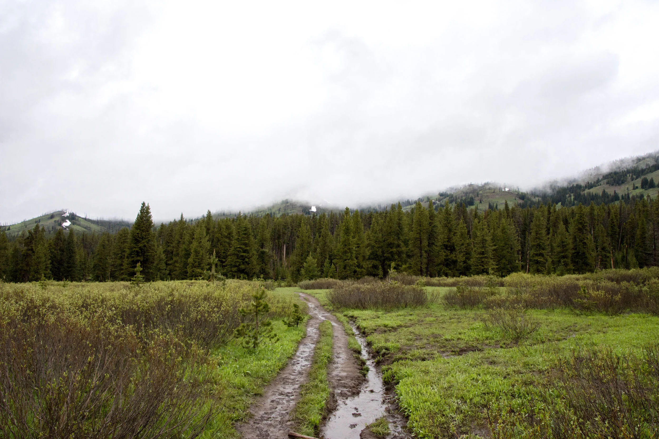 DSC_6323-2.jpg
