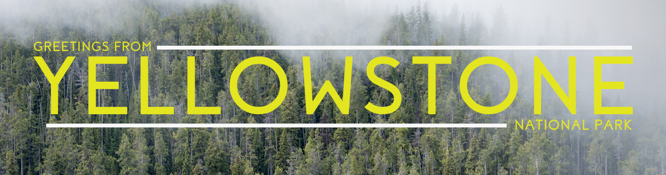 Yellowstoneweb.jpg