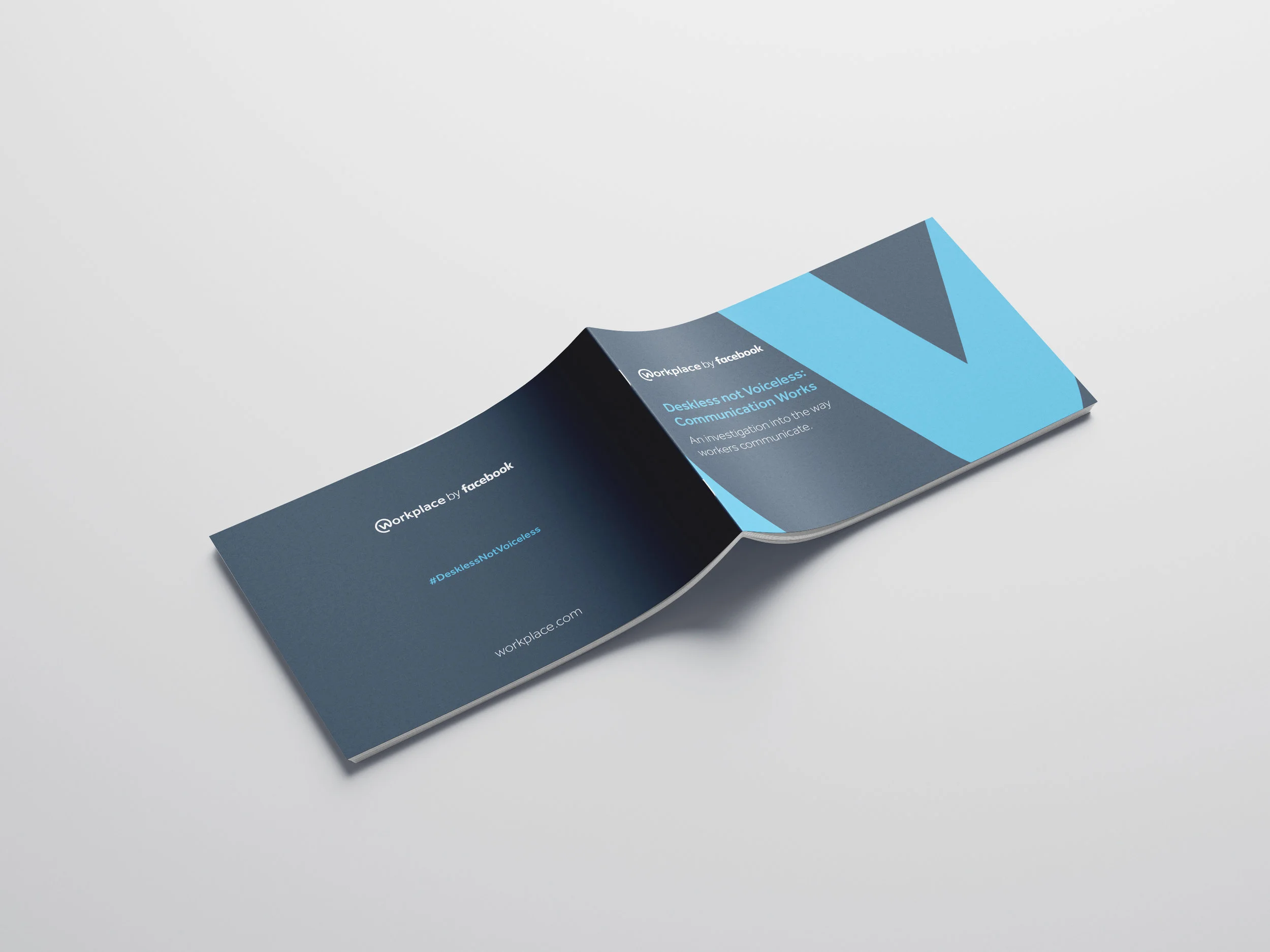 DNV-COVER.jpg