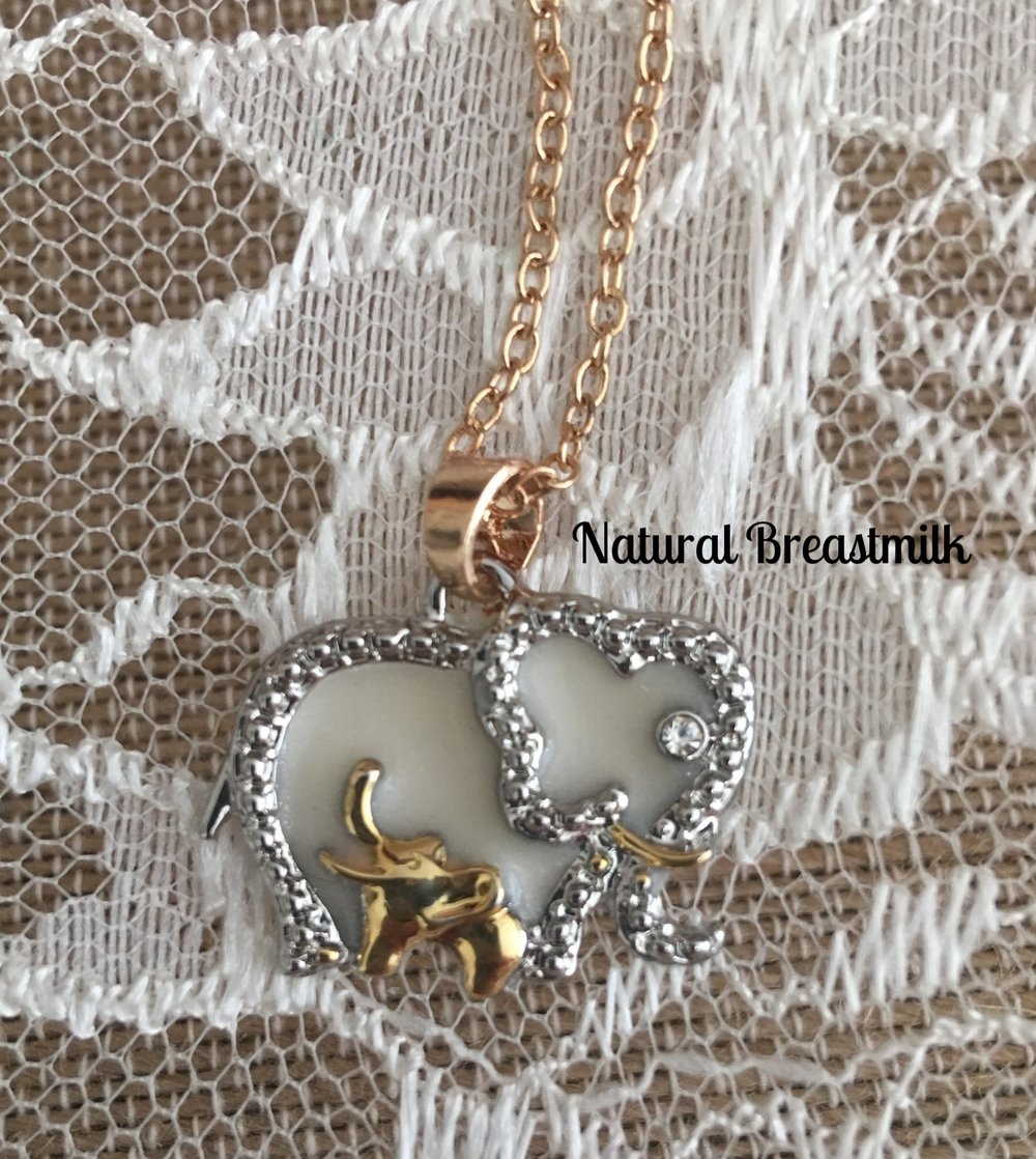 Mom and Baby Breastmilk Necklace Breastmilk Jewelry Keepsake