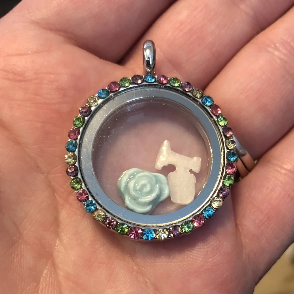 Wholesale Living Locket Charms Floating Locket Charms One Dozen