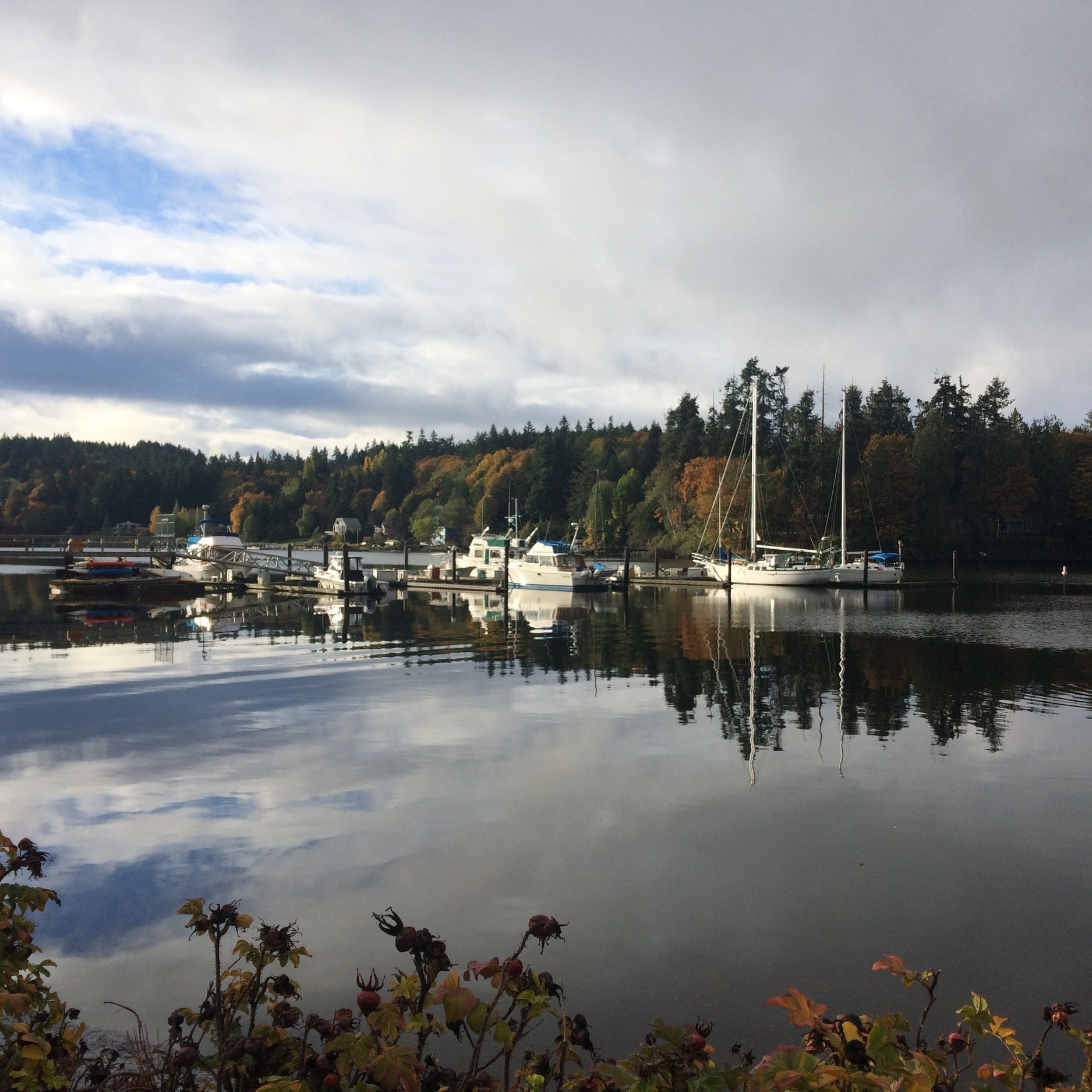 Eagle Harbor