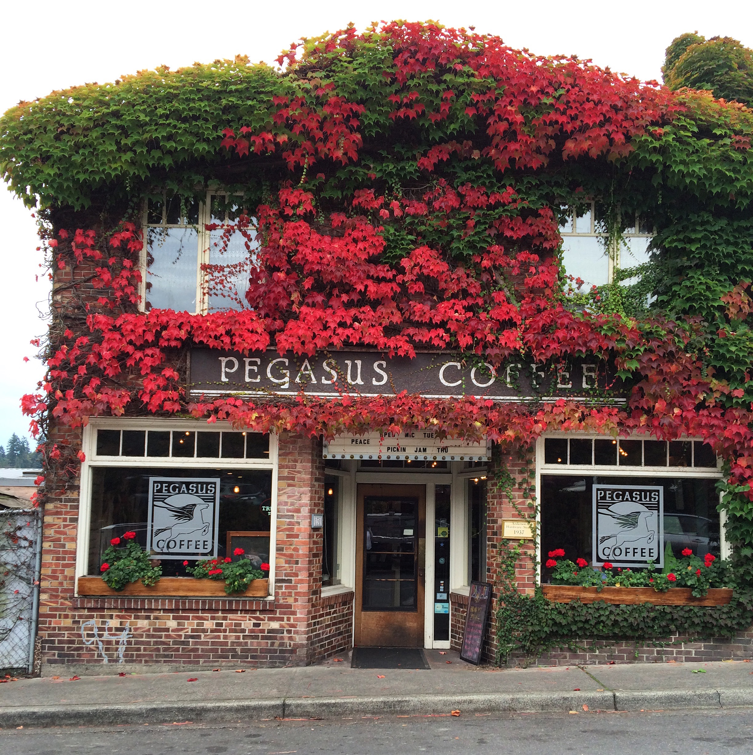 Pegasus Coffee