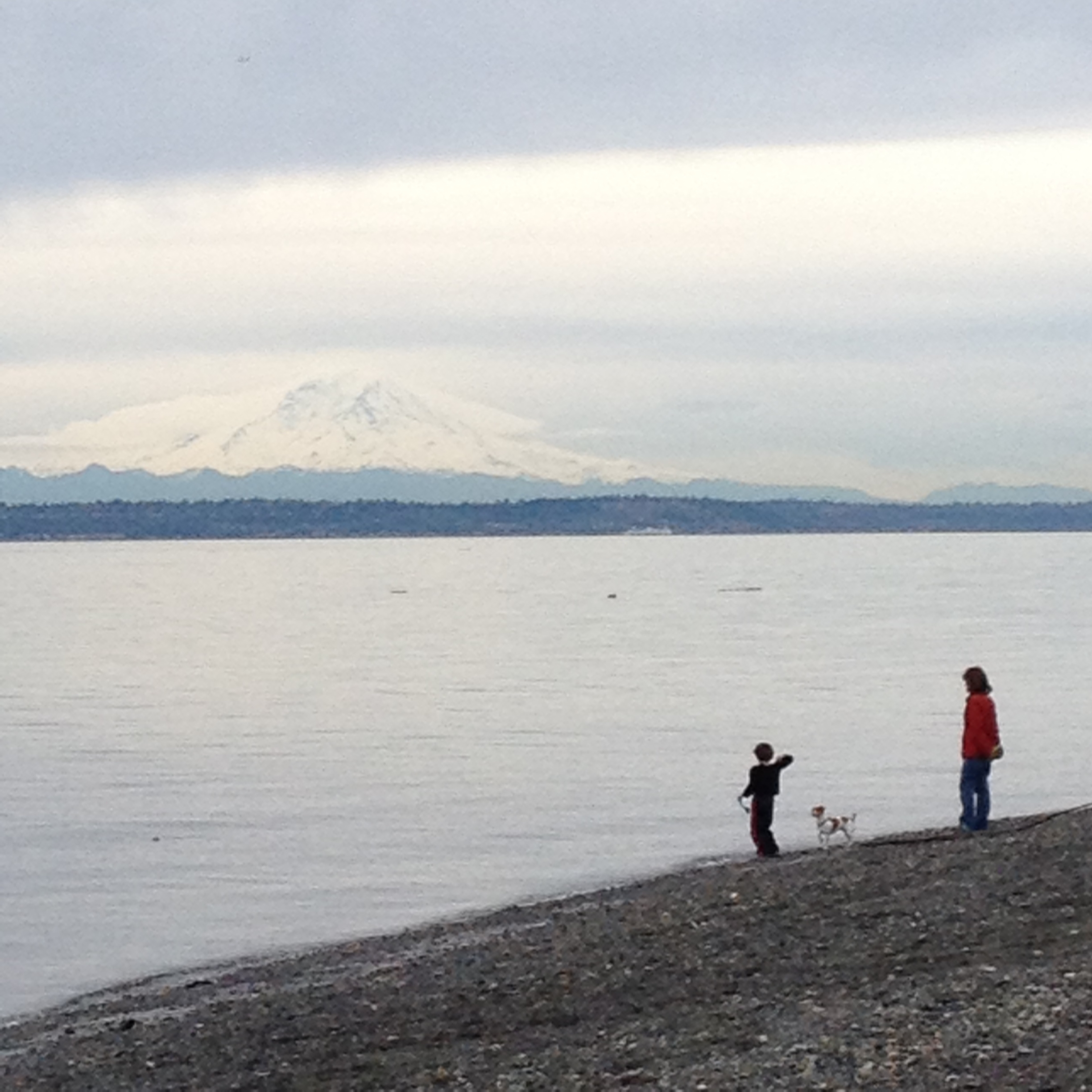 Fay Bainbridge Park