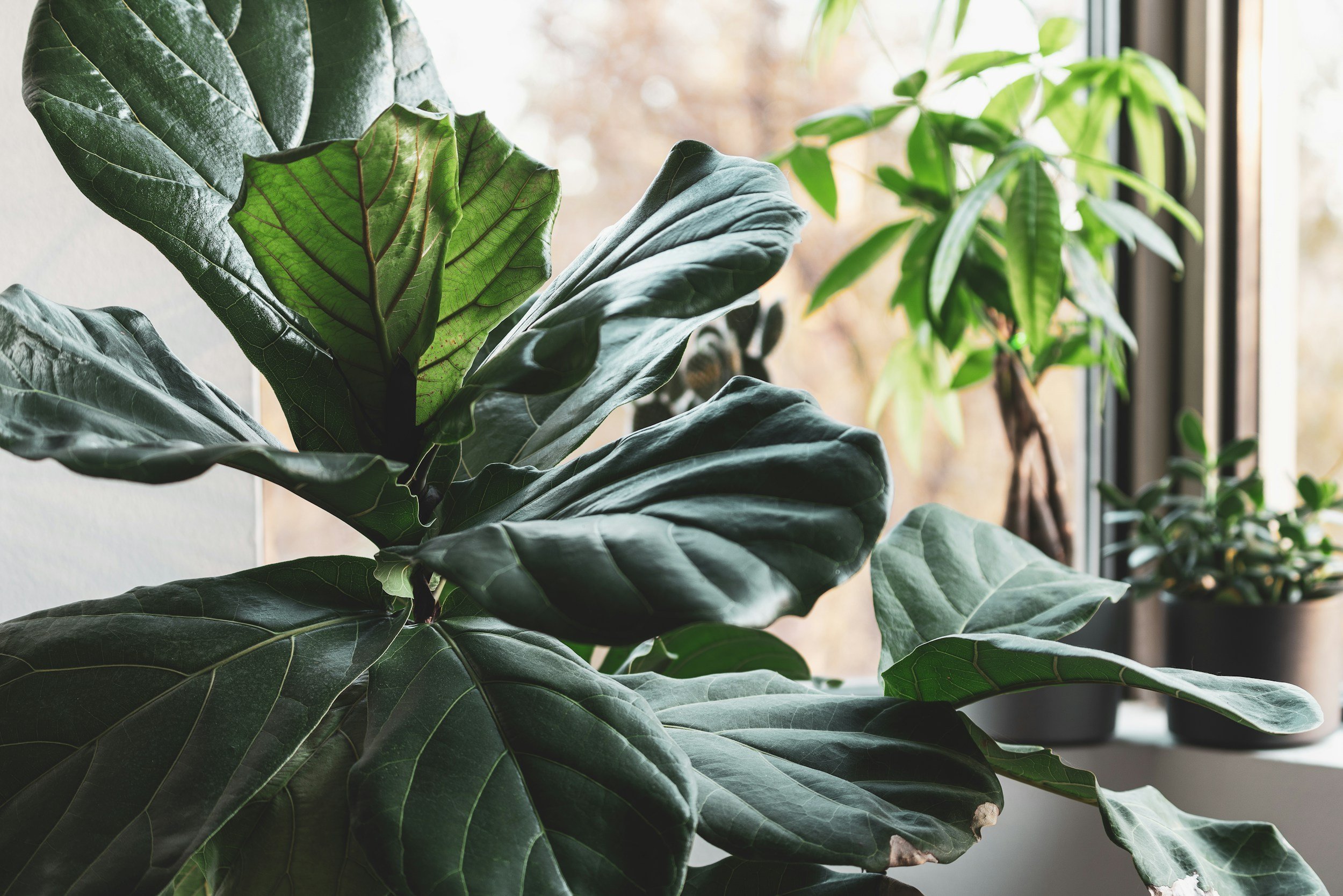 unsplash-image-z-byiqHM1ZM.jpg
