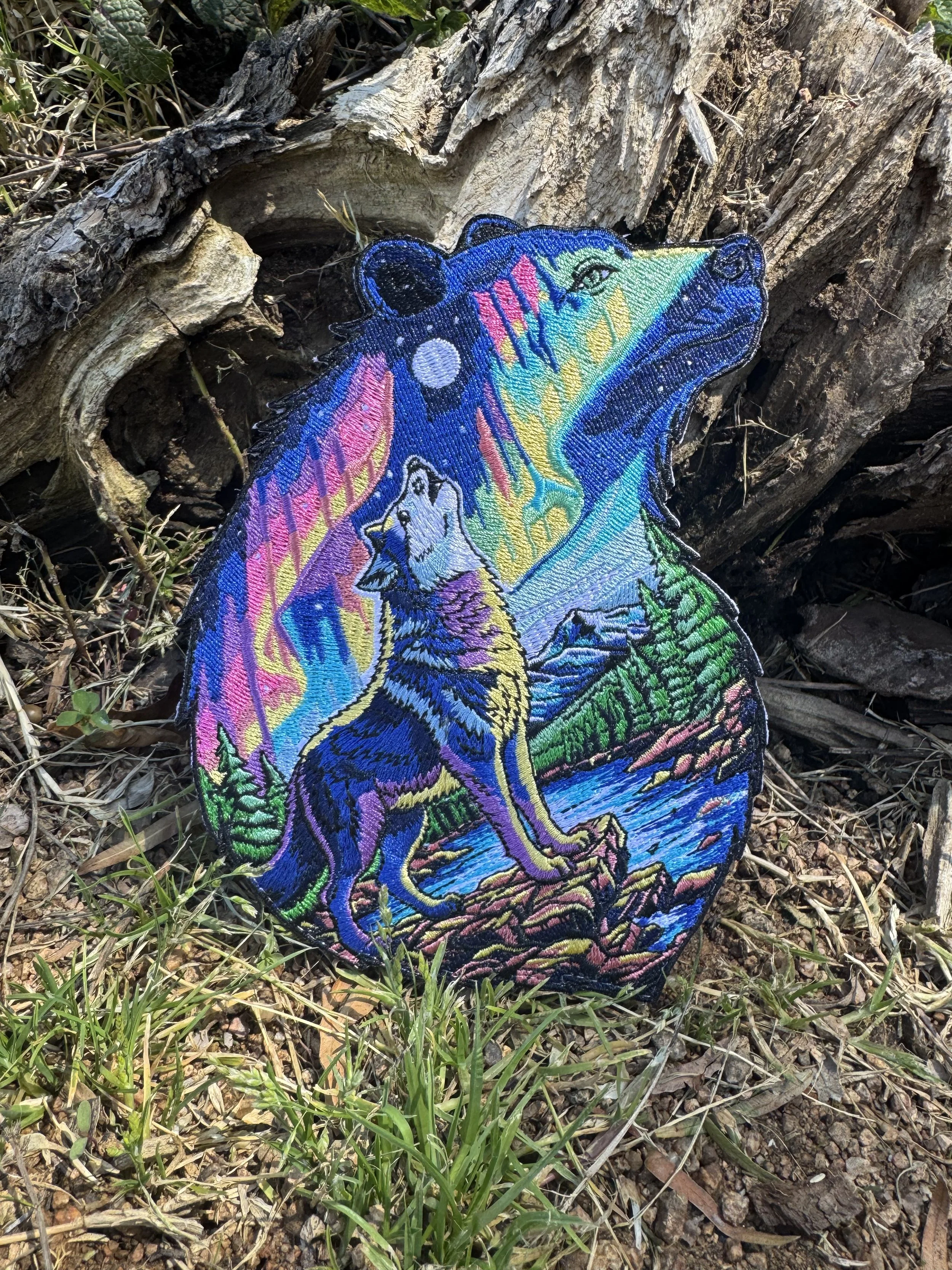 Northern Lights Grizzly.jpeg