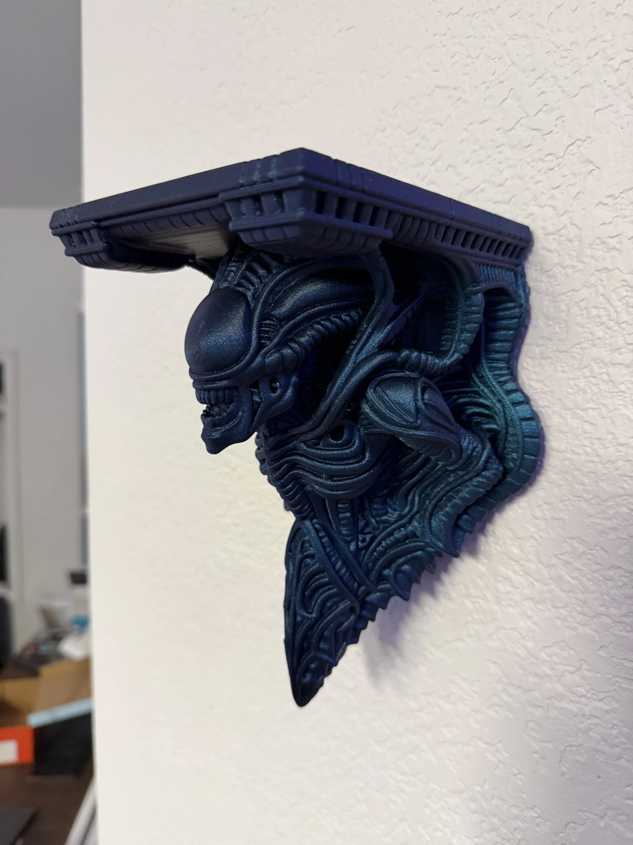 Xeno shelf 2.jpeg