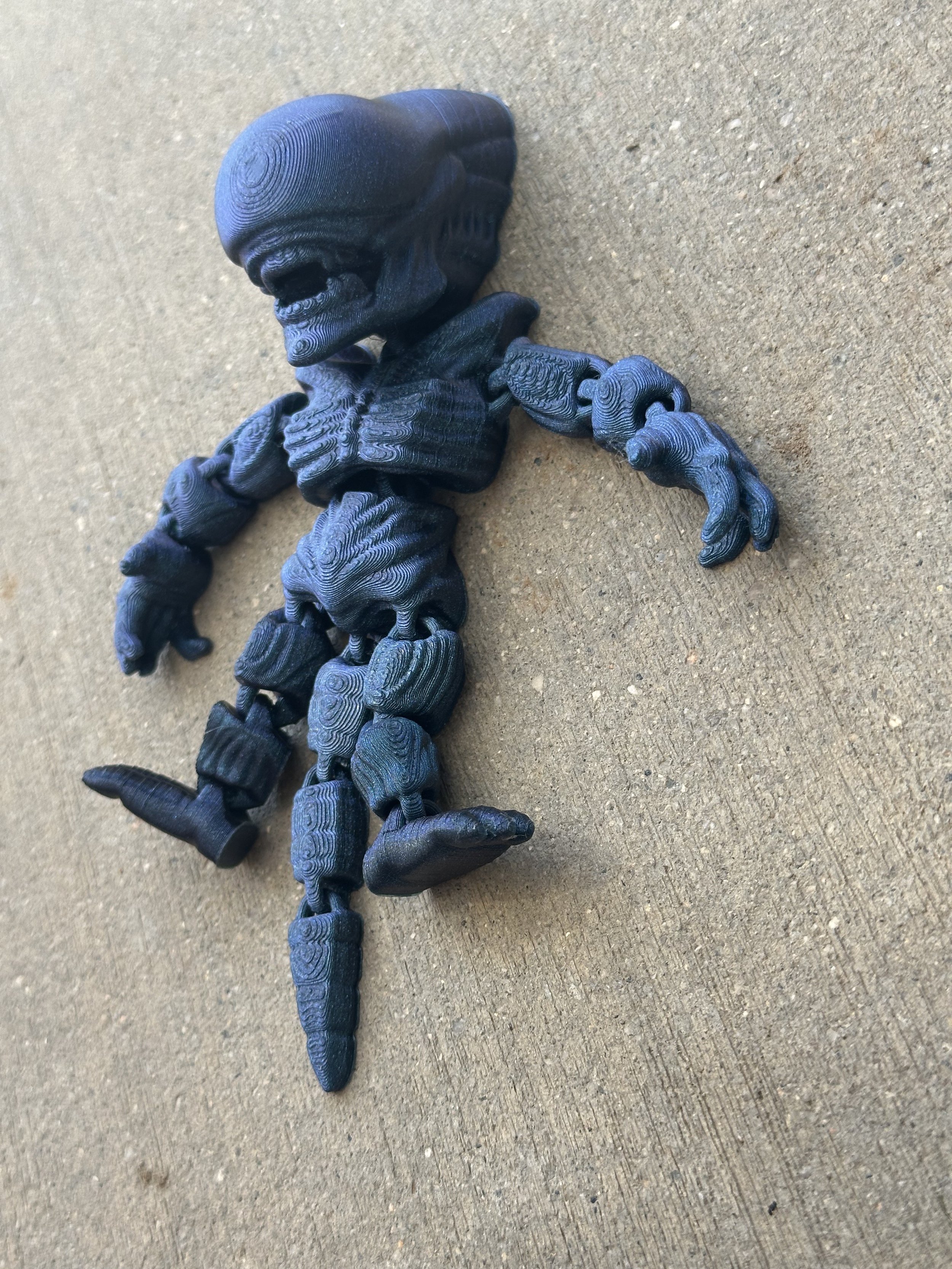 Xeno 1.jpeg