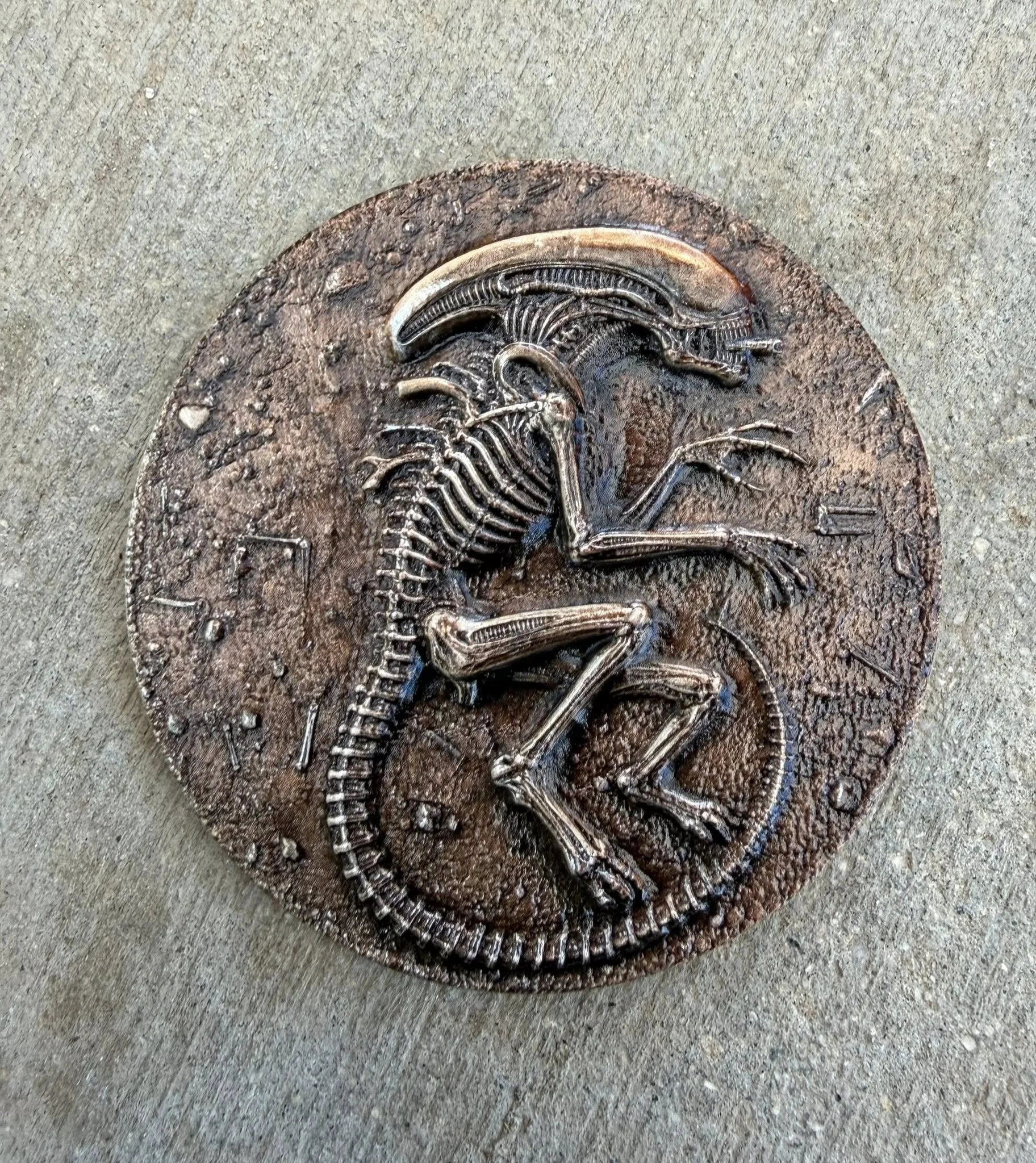 Xeno fossil patch.jpg