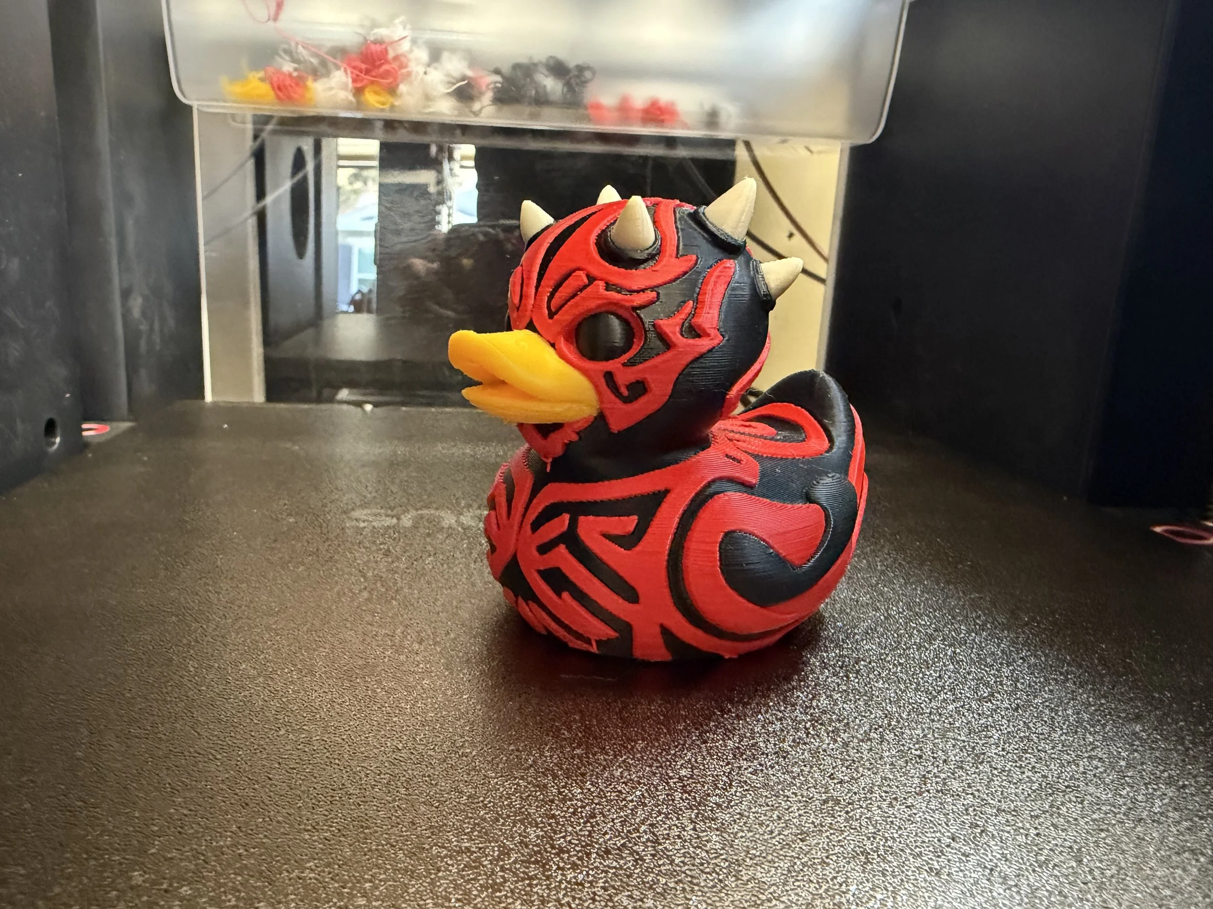Maul Duck 1.jpeg