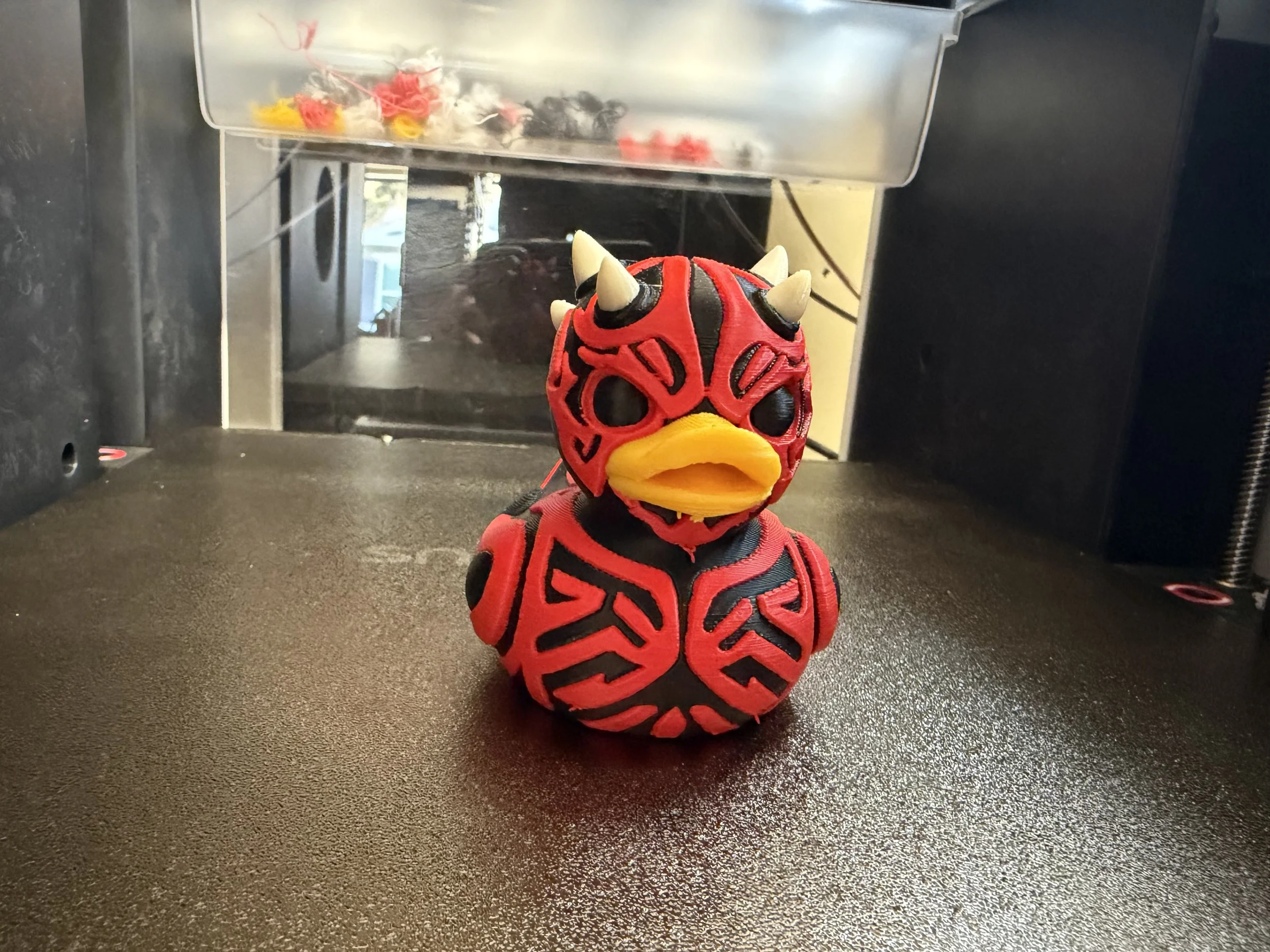 Maul duck 3.jpeg