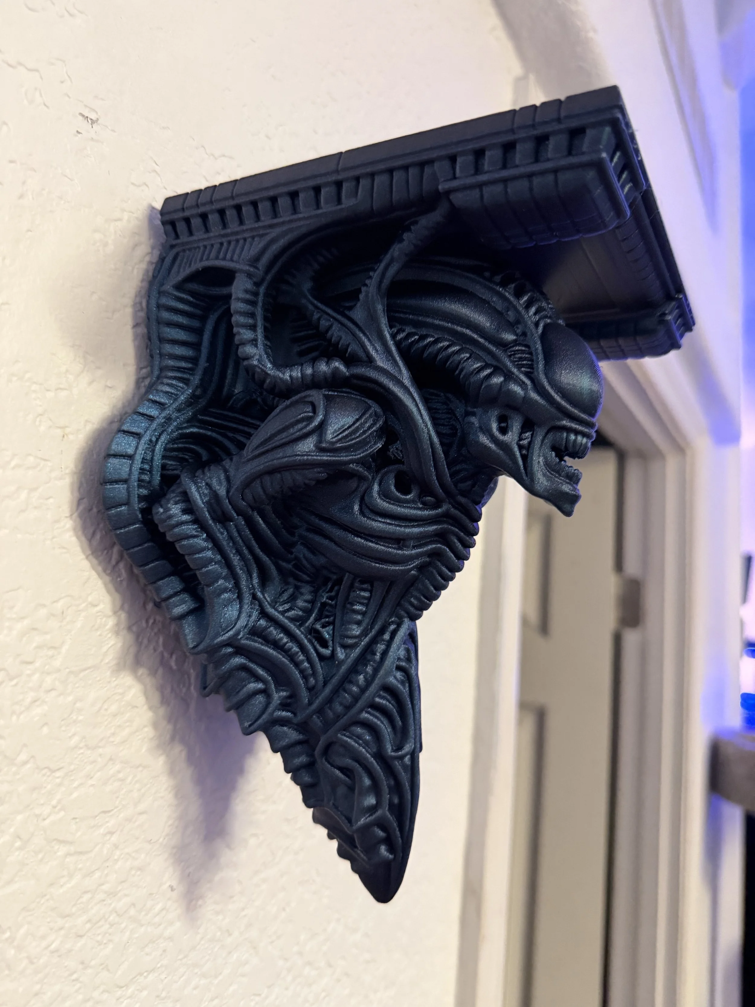Xeno shelf 3.jpeg