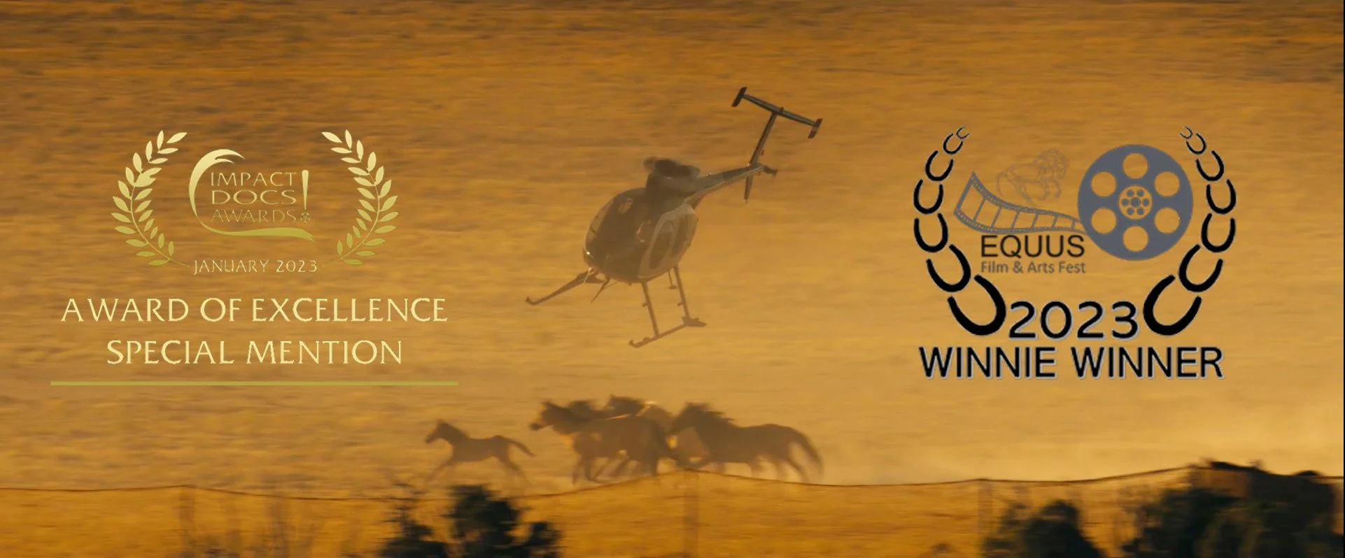 FREEDOM REIGNS (TRAILER) DIRECTED BY MATT COHN & JOEY ROSSETTI (UNITED STATES)