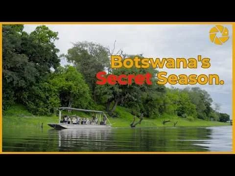 The Hidden Magic of Botswana's SECRET Season