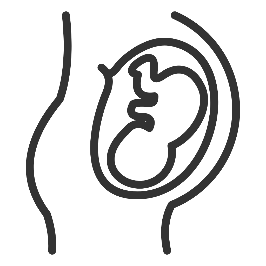 Pregnancy & Postnatal Chiropractic Care Minimal Icon