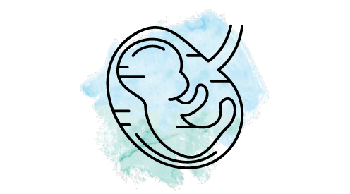 Pregnancy & Postnatal Care - SHC.png