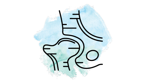 Sciatica - SHC.png