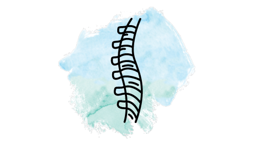 Spinal Function & Posture - SHC.png