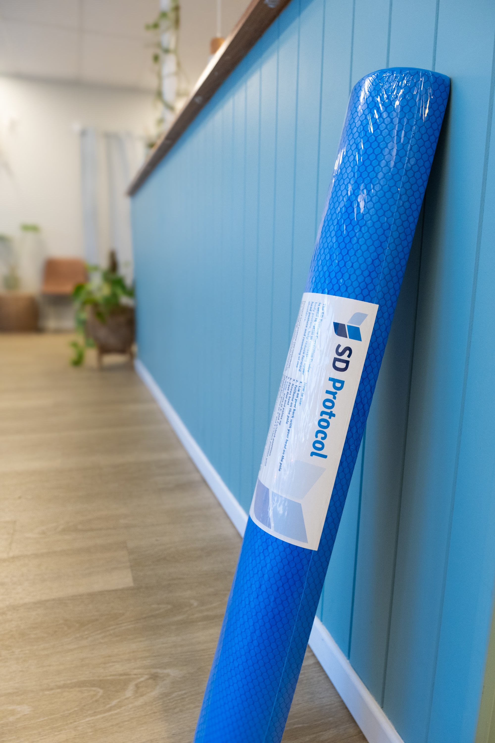 SD Protocol Posture Pole