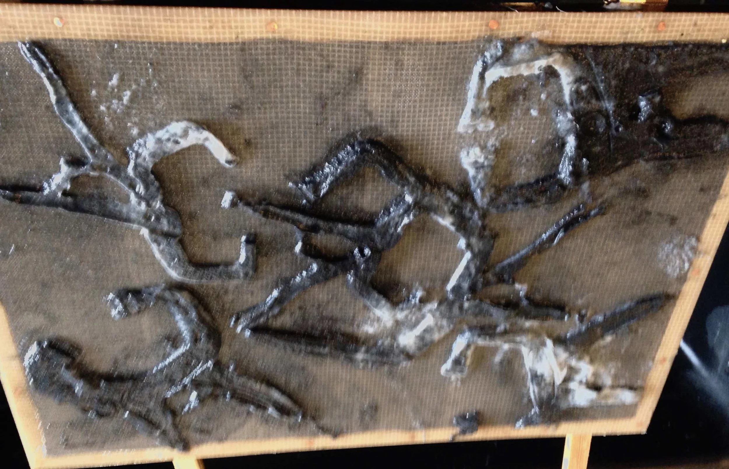 LandesSullivan_blowout_cotton_paper-technique.jpg