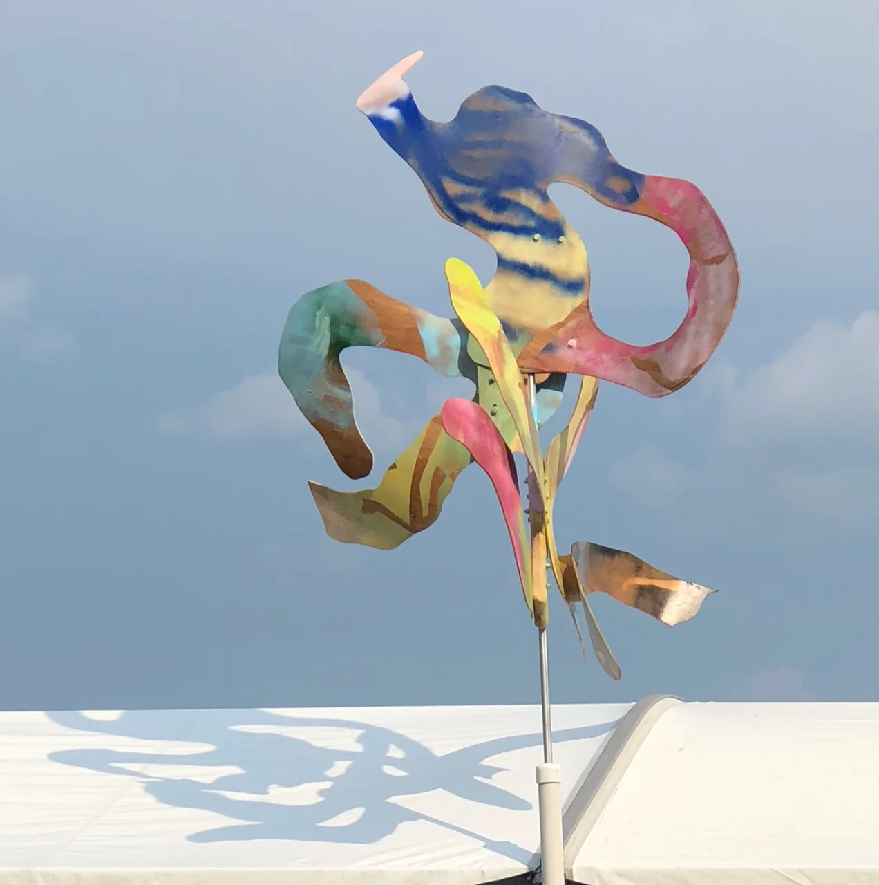 Woody’s bent ride to the sky and its gorgeous shadow 2018