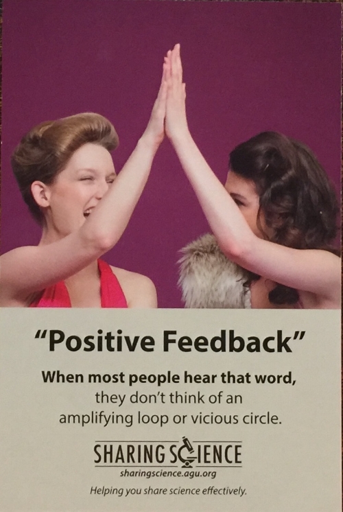 What kind of feedback would come from a day spent visiting Congress?