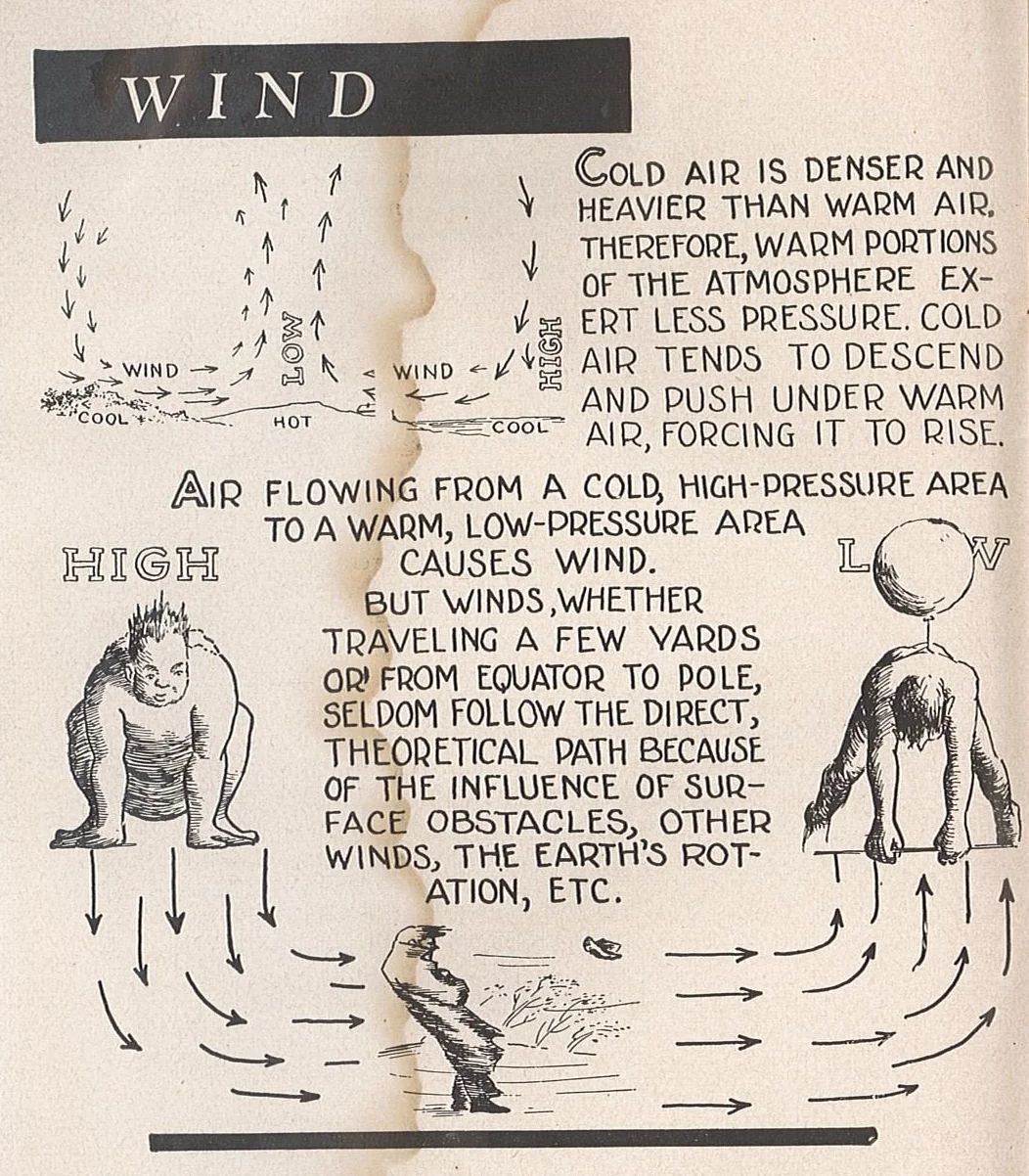 Wind and Clipper Cartoons.jpg