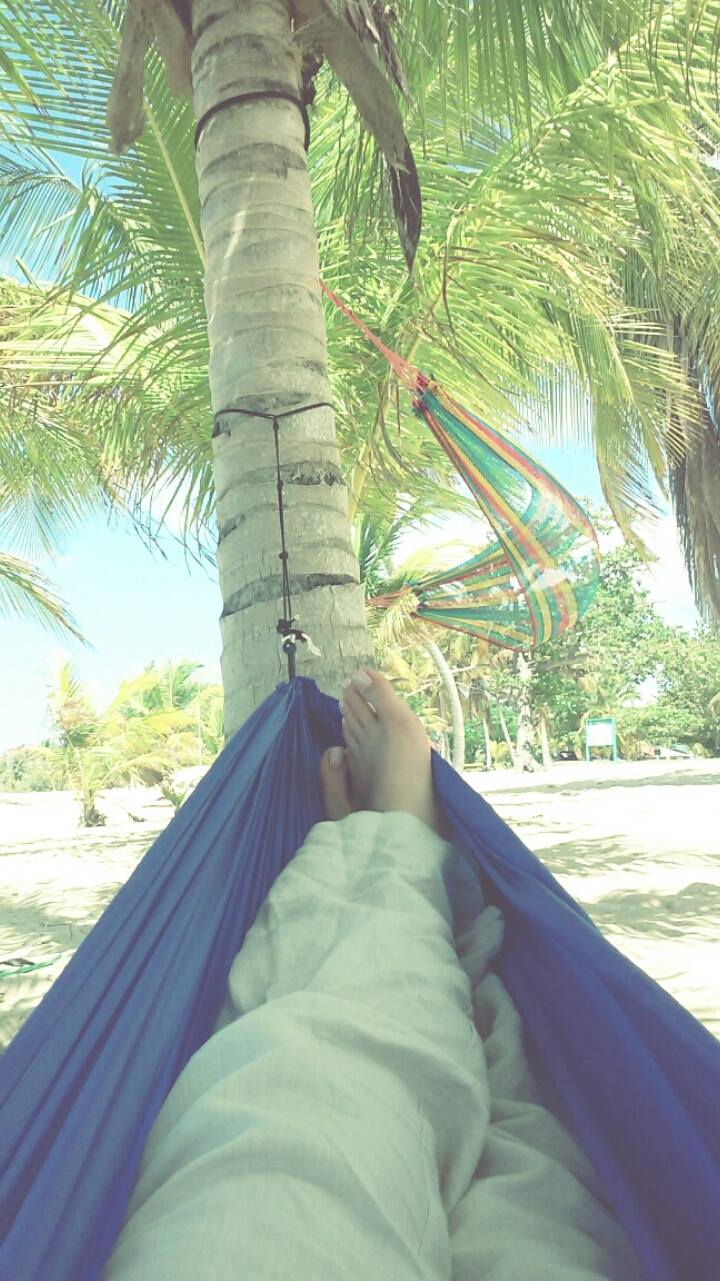 Vieques, Puerto Rico. 