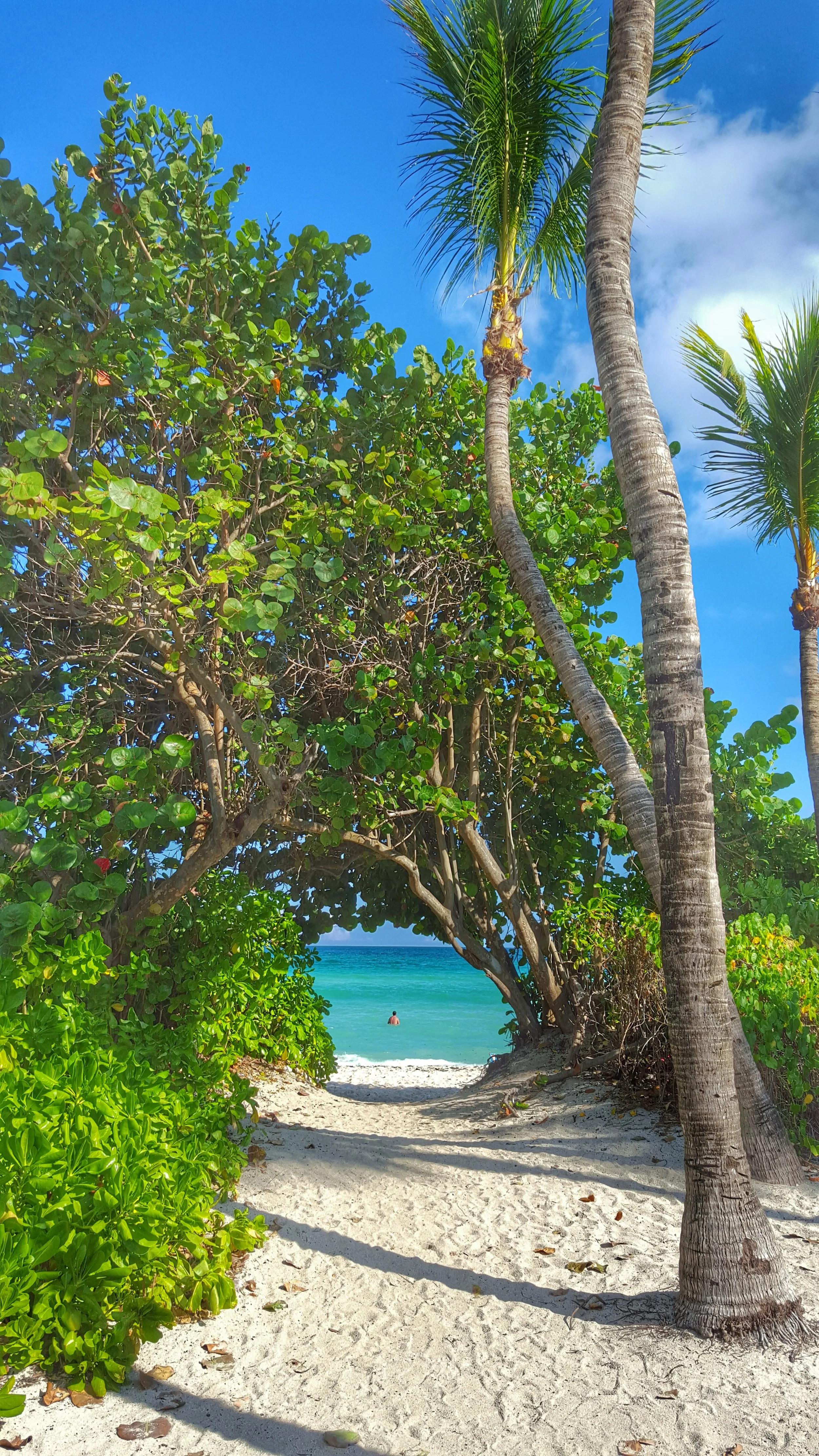  Miami, Florida. 2015 