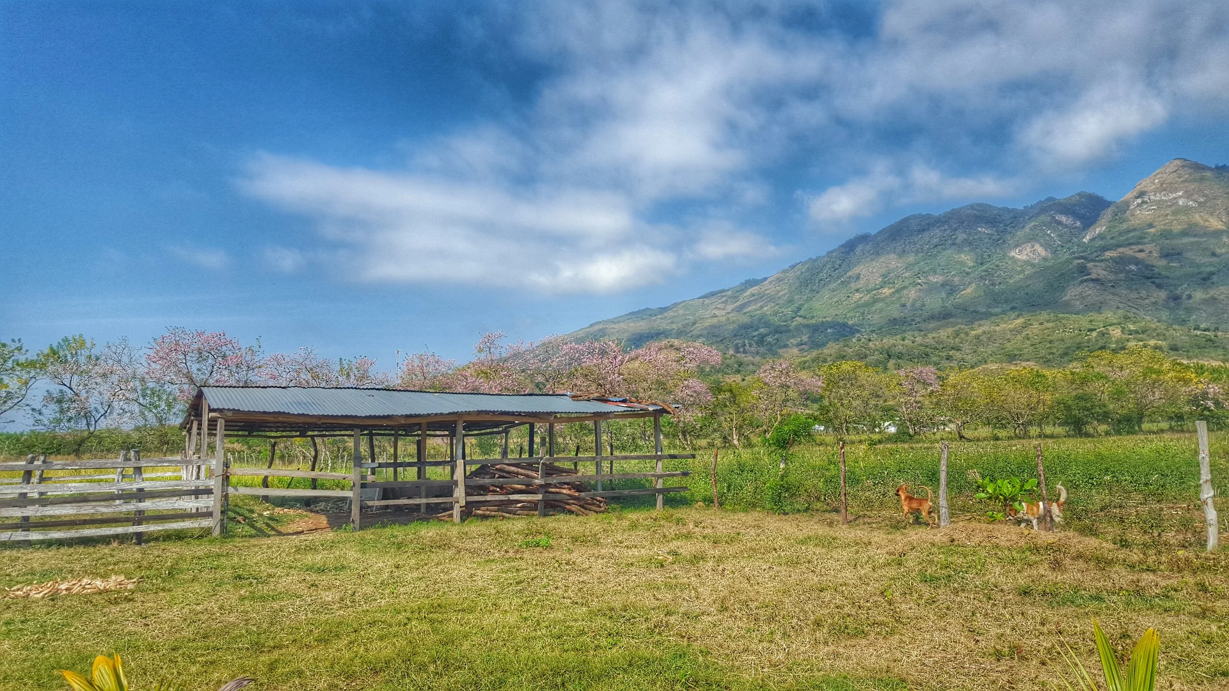  Olancho, Honduras. 2016 