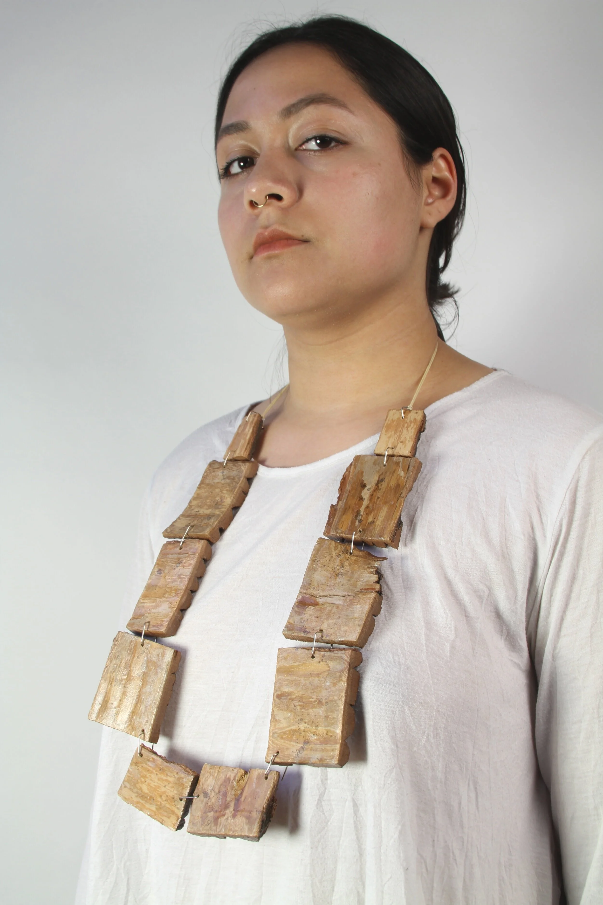  Immigration Series #2 (complicated):no adaption/problematic.     Bark, steel, waxed cord, image transferring. 2019    Series #3 (complicated):no adaption/problematic. On this piece I focused on showing the percentages of undocumented immigrants from