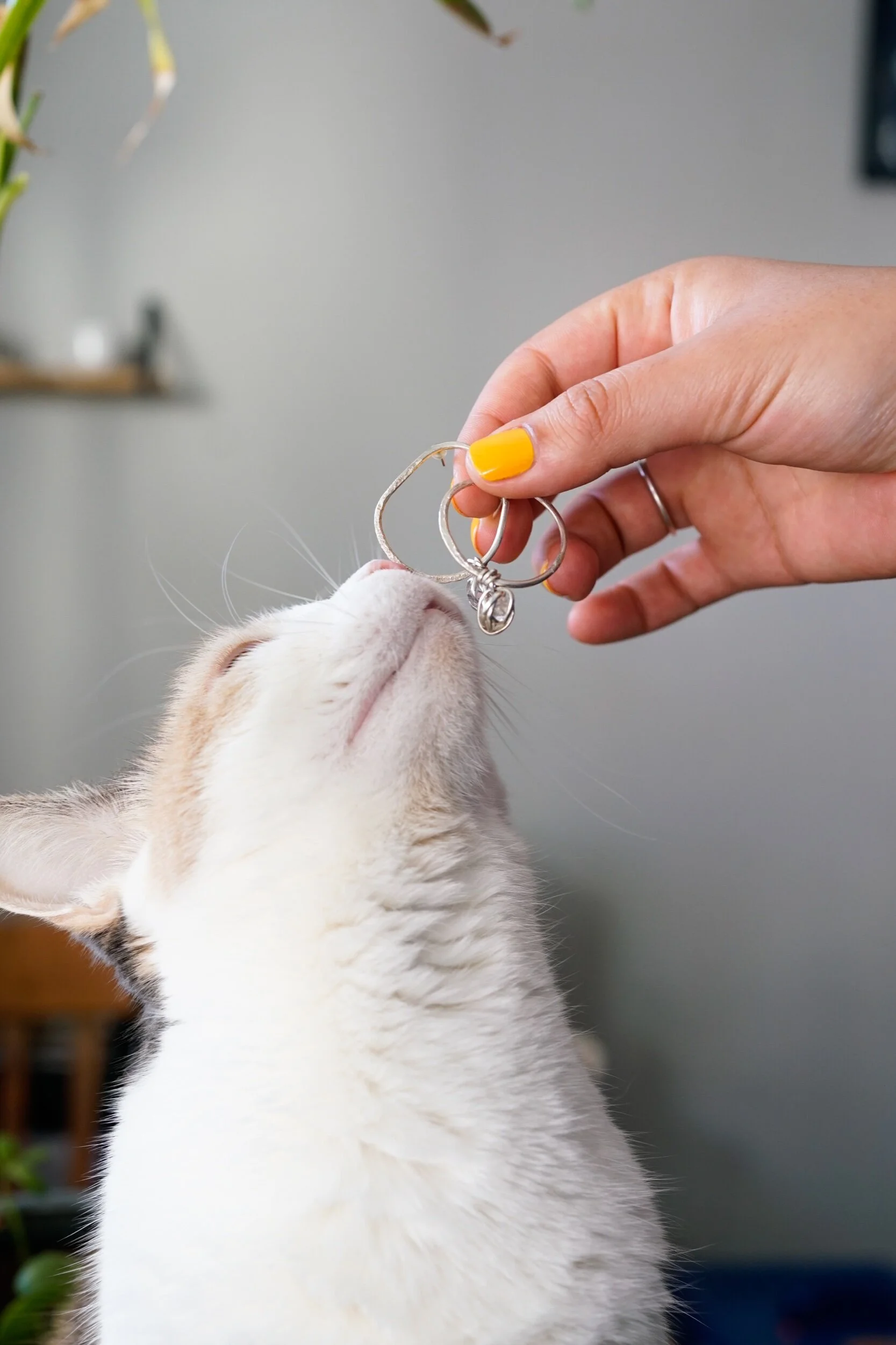 D98B9D23-A70E-40BF-AFCB-E977FFF0BA75