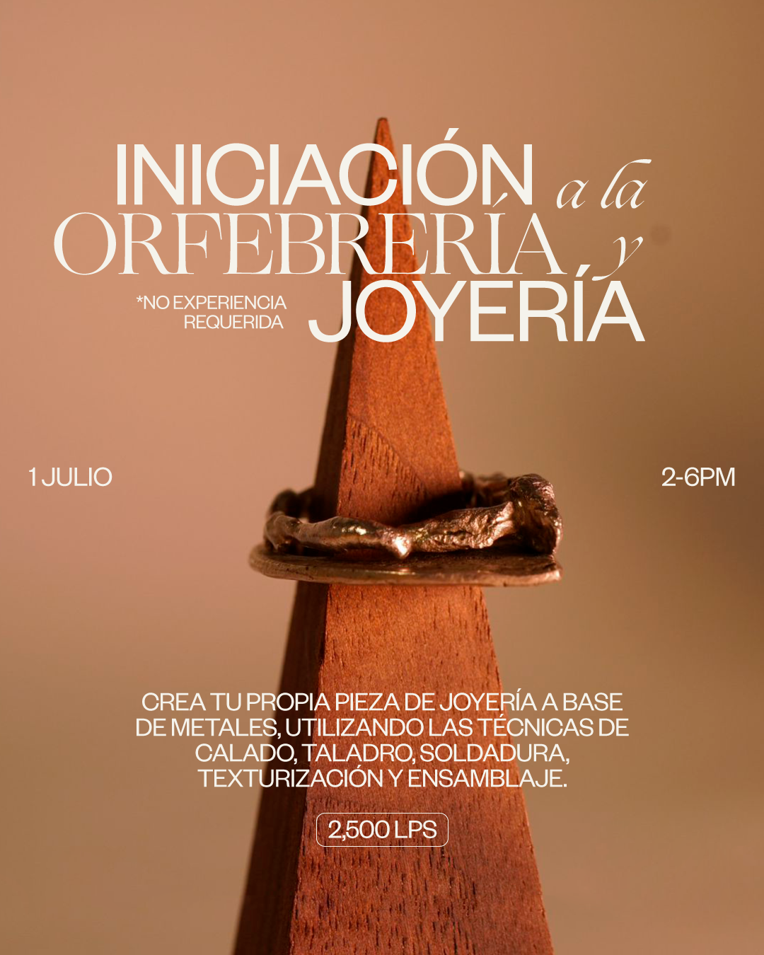 Iniciación a la Orfebreria &amp; Joyeria 
