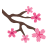 icons8-sakura-48.png
