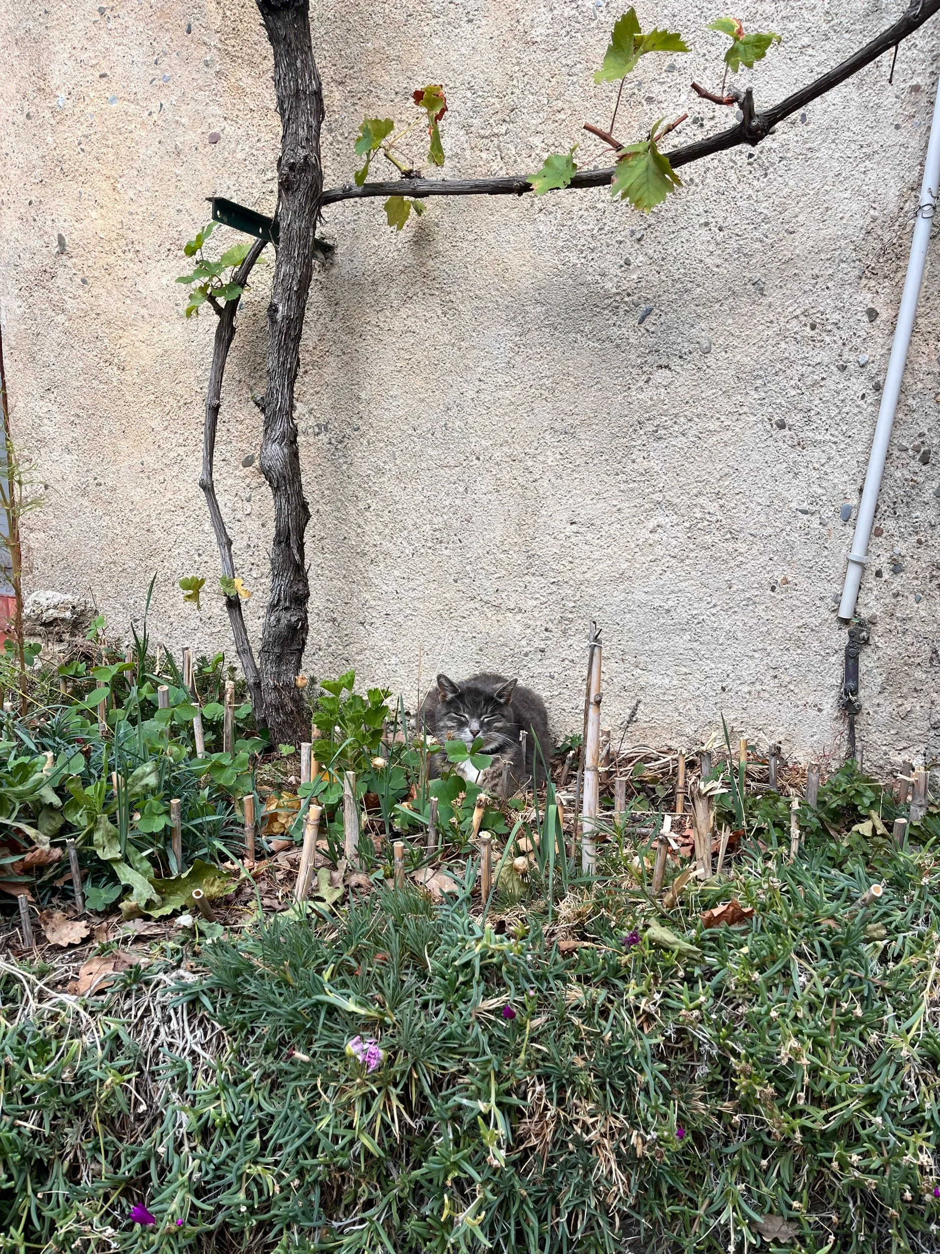 IMG_9876.jpeg