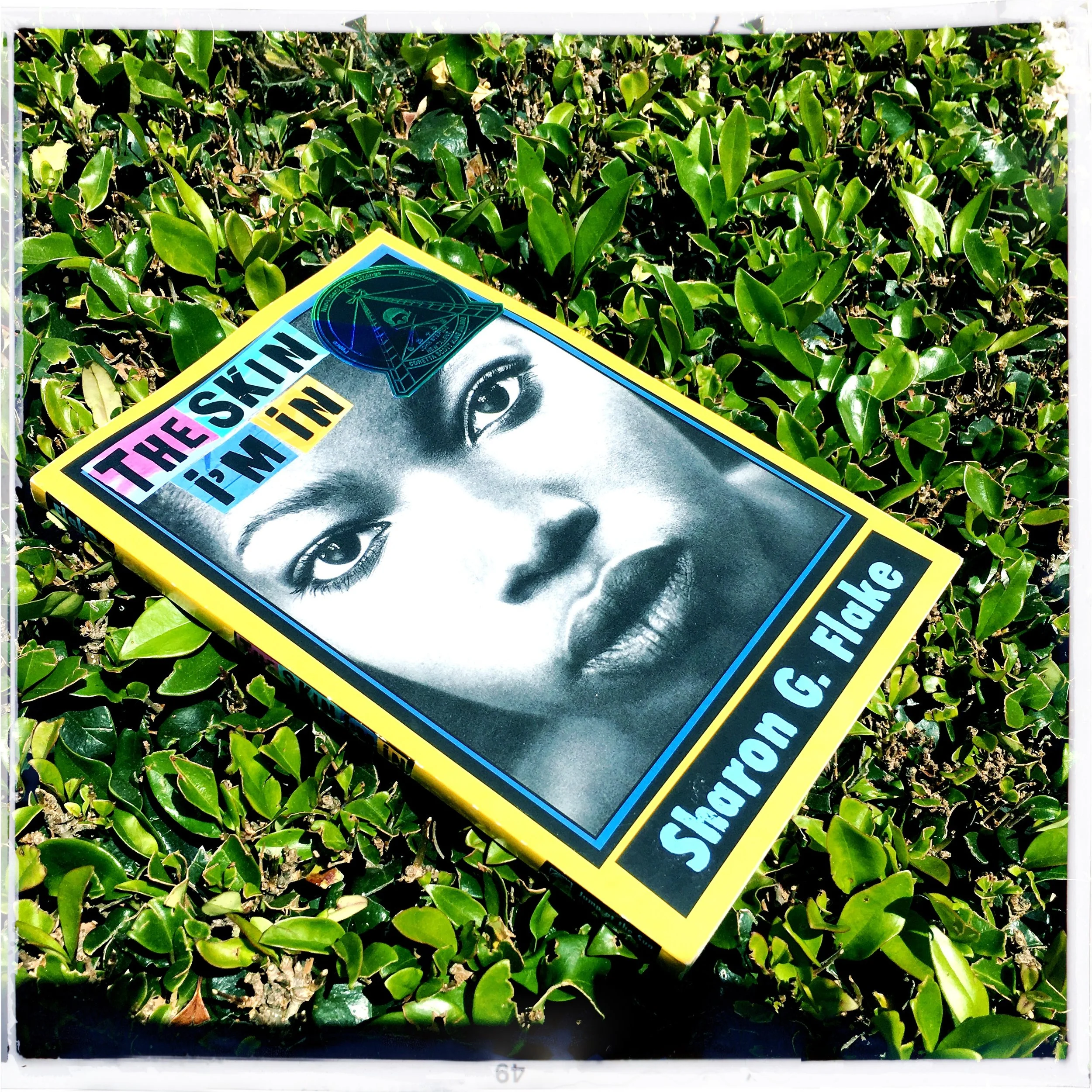 Back to School with "The Skin I'm In" by Sharon Flake (Book Review)