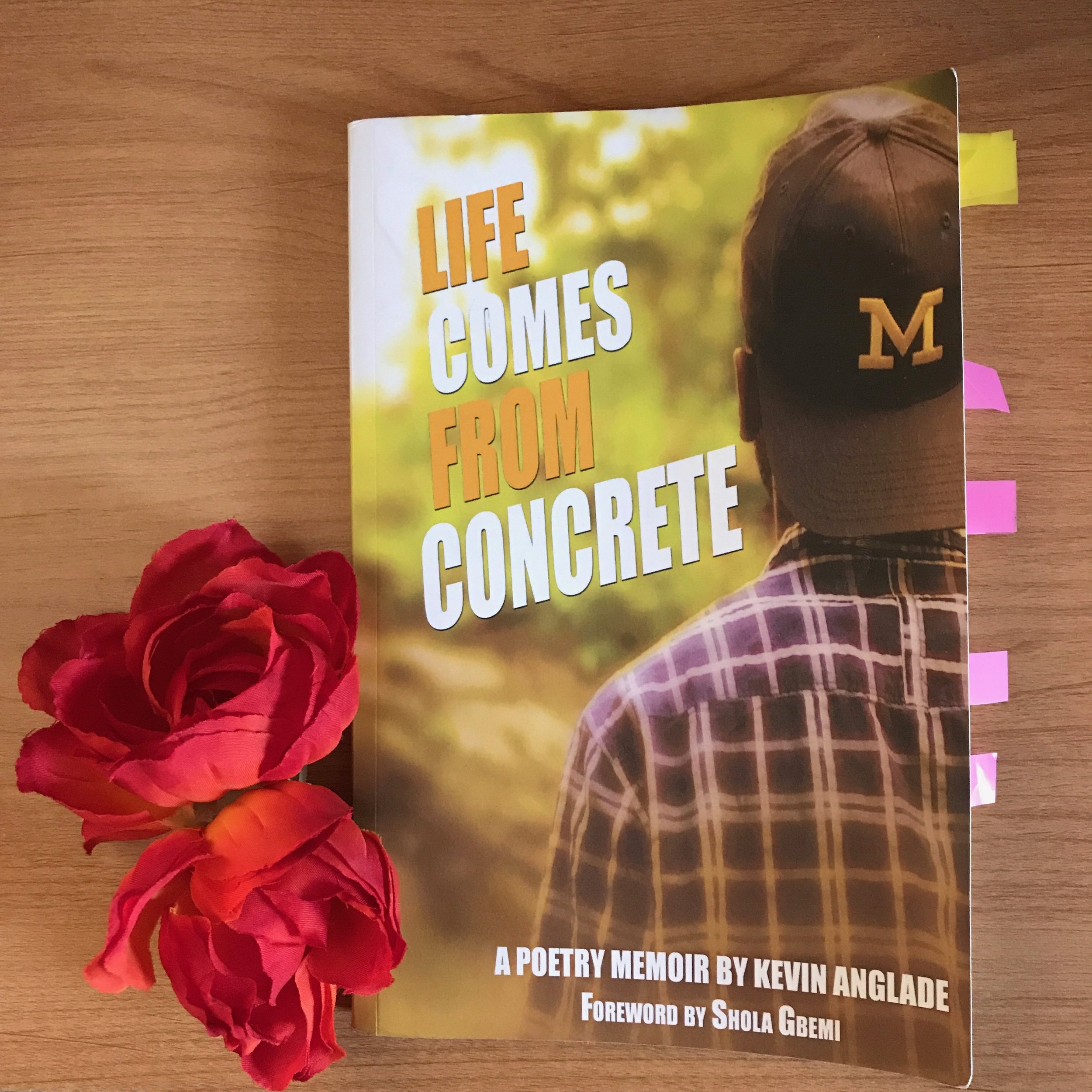 Life Comes From Concrete