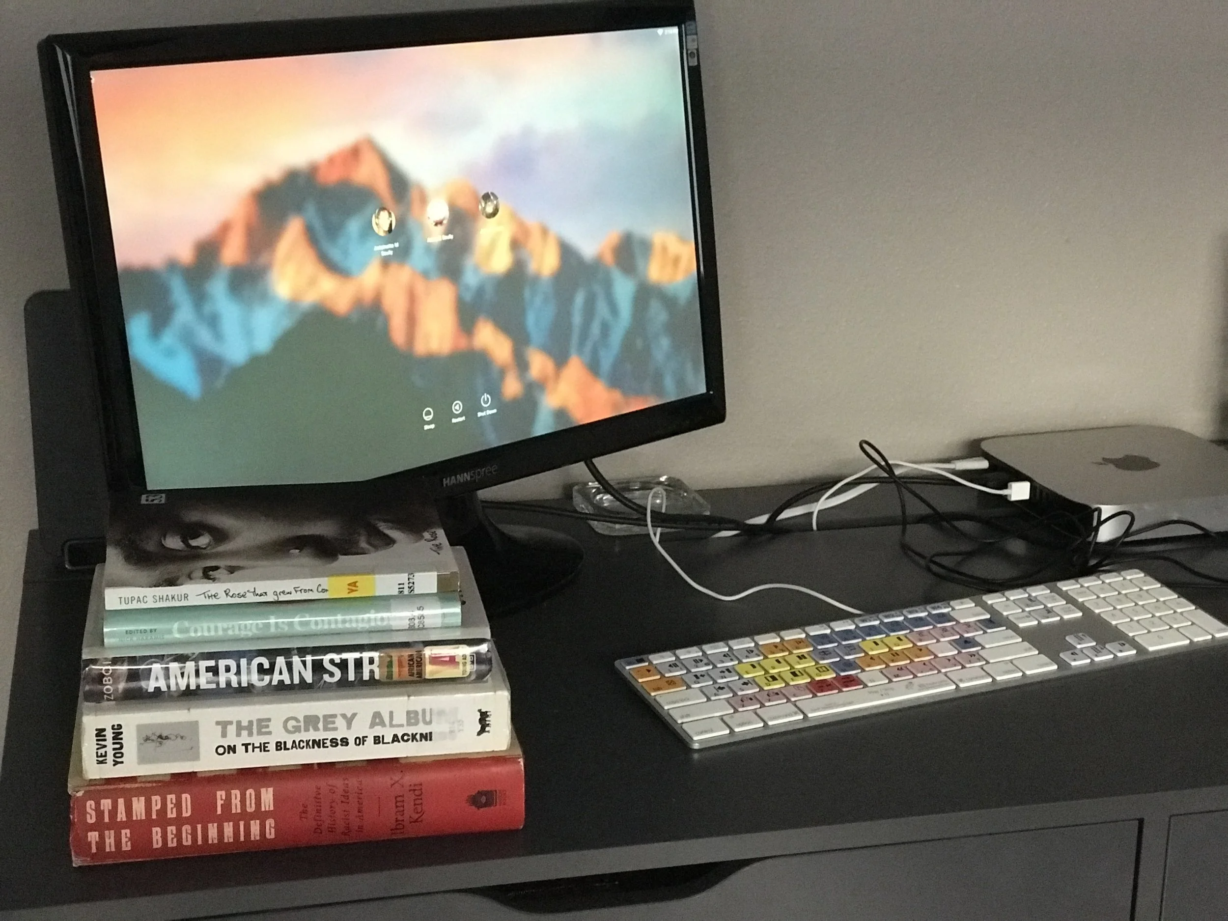 Friday Reads (Happy New Year)