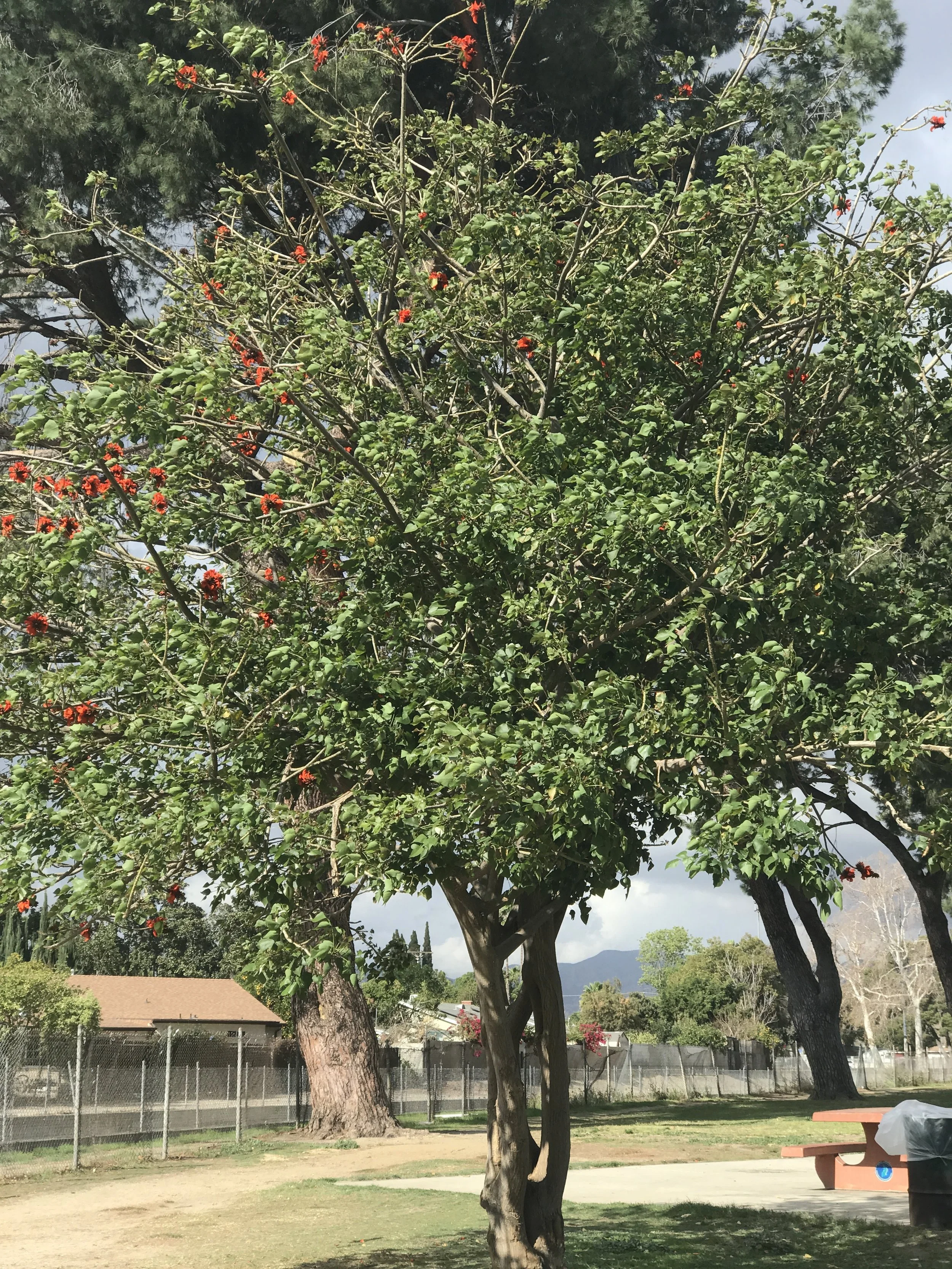 Sorry I've Been Gone (Friday Reads)