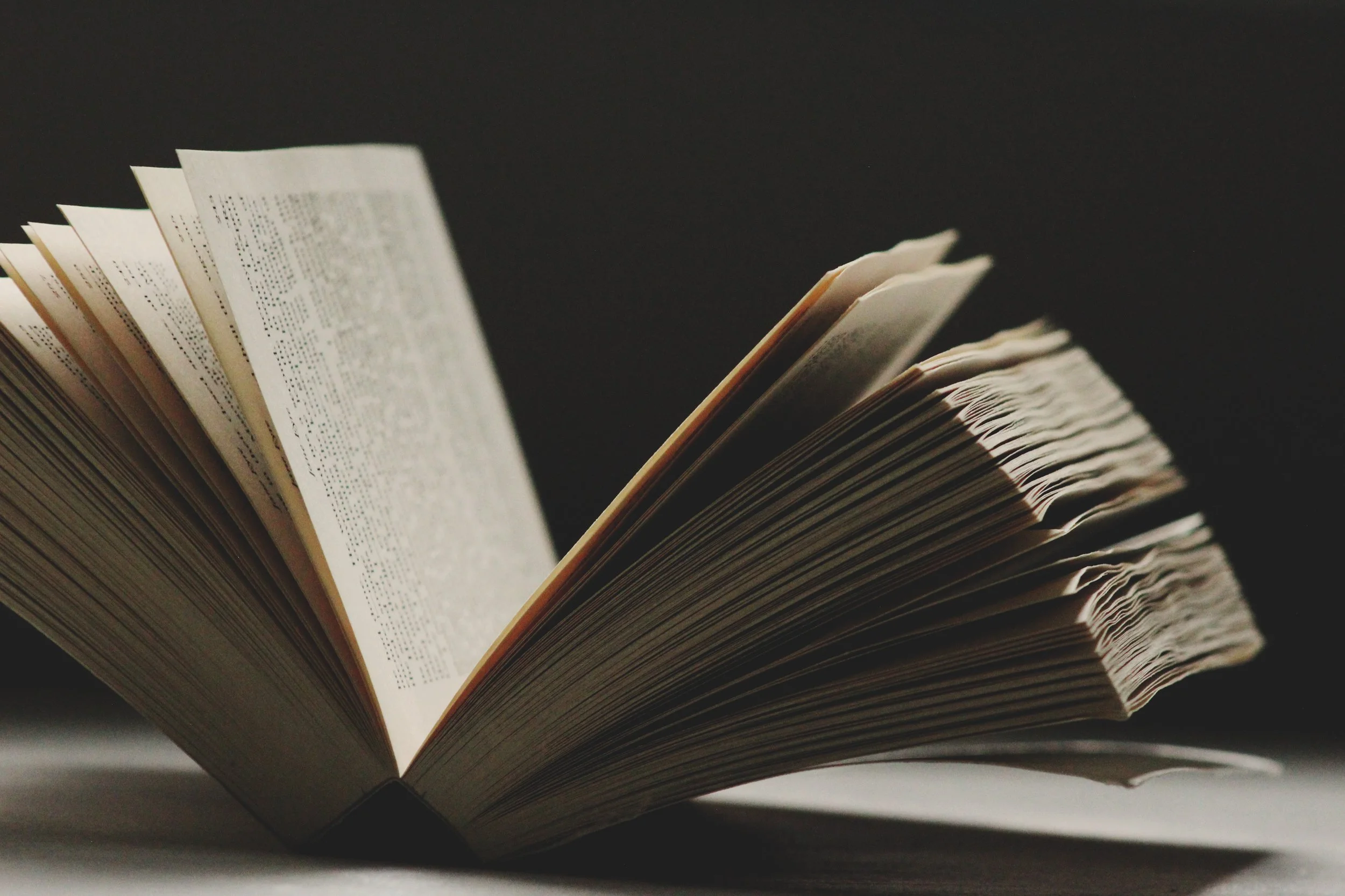 Photo by Brandi Redd on Unsplash