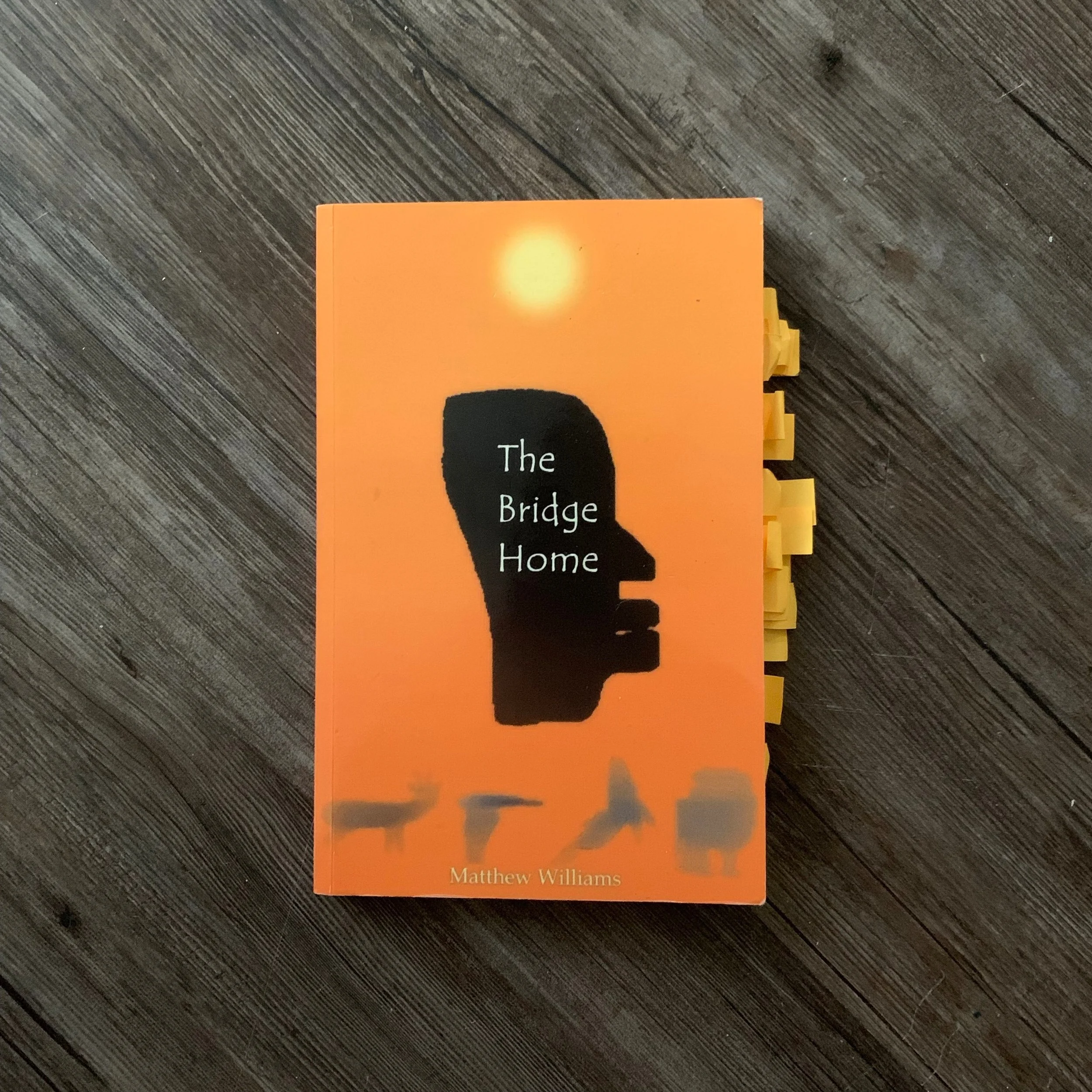 The Bridge Home by Matthew Williams (Book Review)