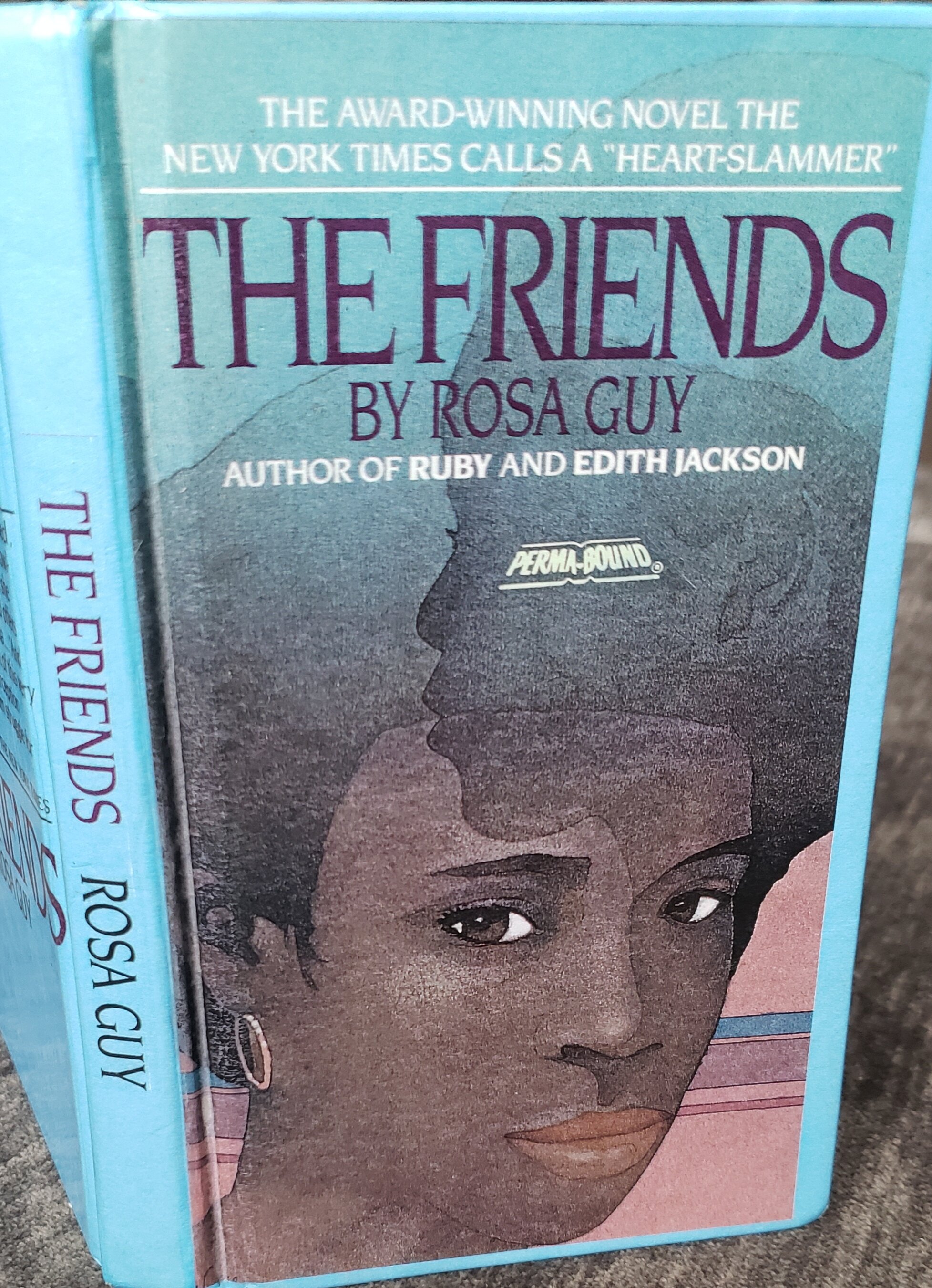 Review: Why “The Friends” by Rosa Guy Should Be on Your “Books to Read or Read Again” List