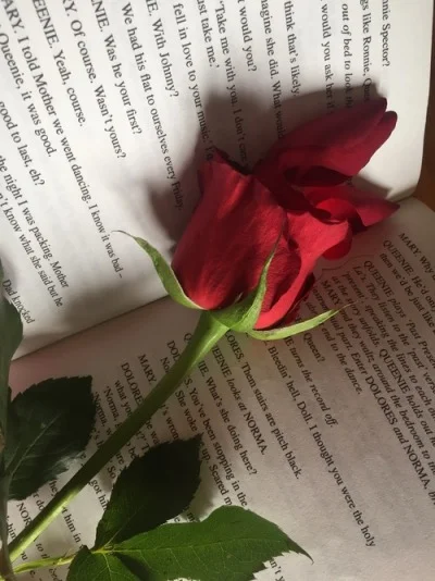 valentine's day 